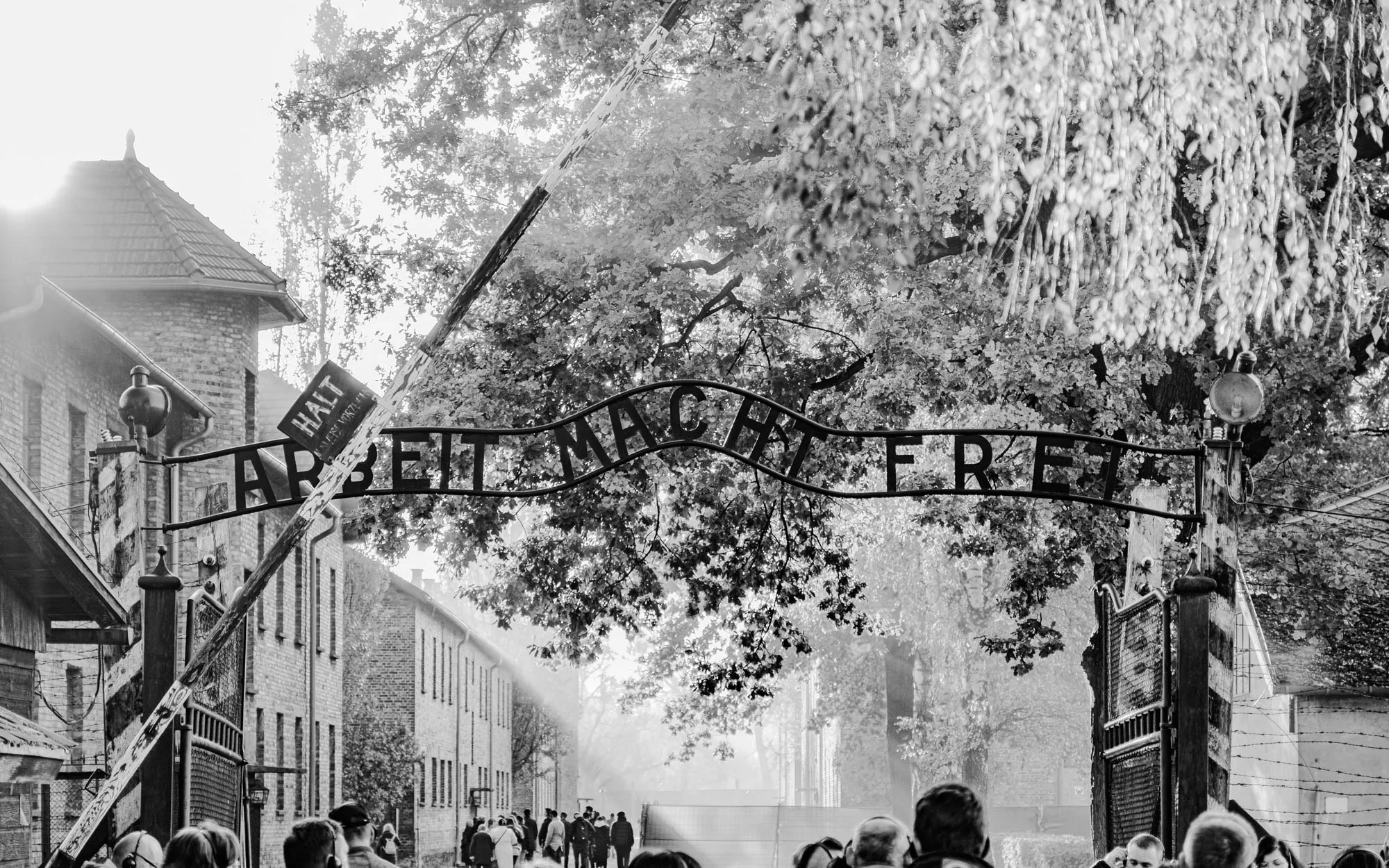 The image is a black and white photo of the entrance to a concentration camp. In the center of the image, there is a large metal arch with the words "Arbeit Macht Frei" (Work Sets You Free) written in bold, black letters. The arch is partially obscured by a tree on the right side of the image. There are buildings on both sides of the arch. On the left side of the image, there is a sign that says "Halt" (Stop) in German. There are a group of people standing near the gate, their faces obscured by the sun's glare.  The image is a somber reminder of the horrors of the Holocaust and the millions of people who died in concentration camps.