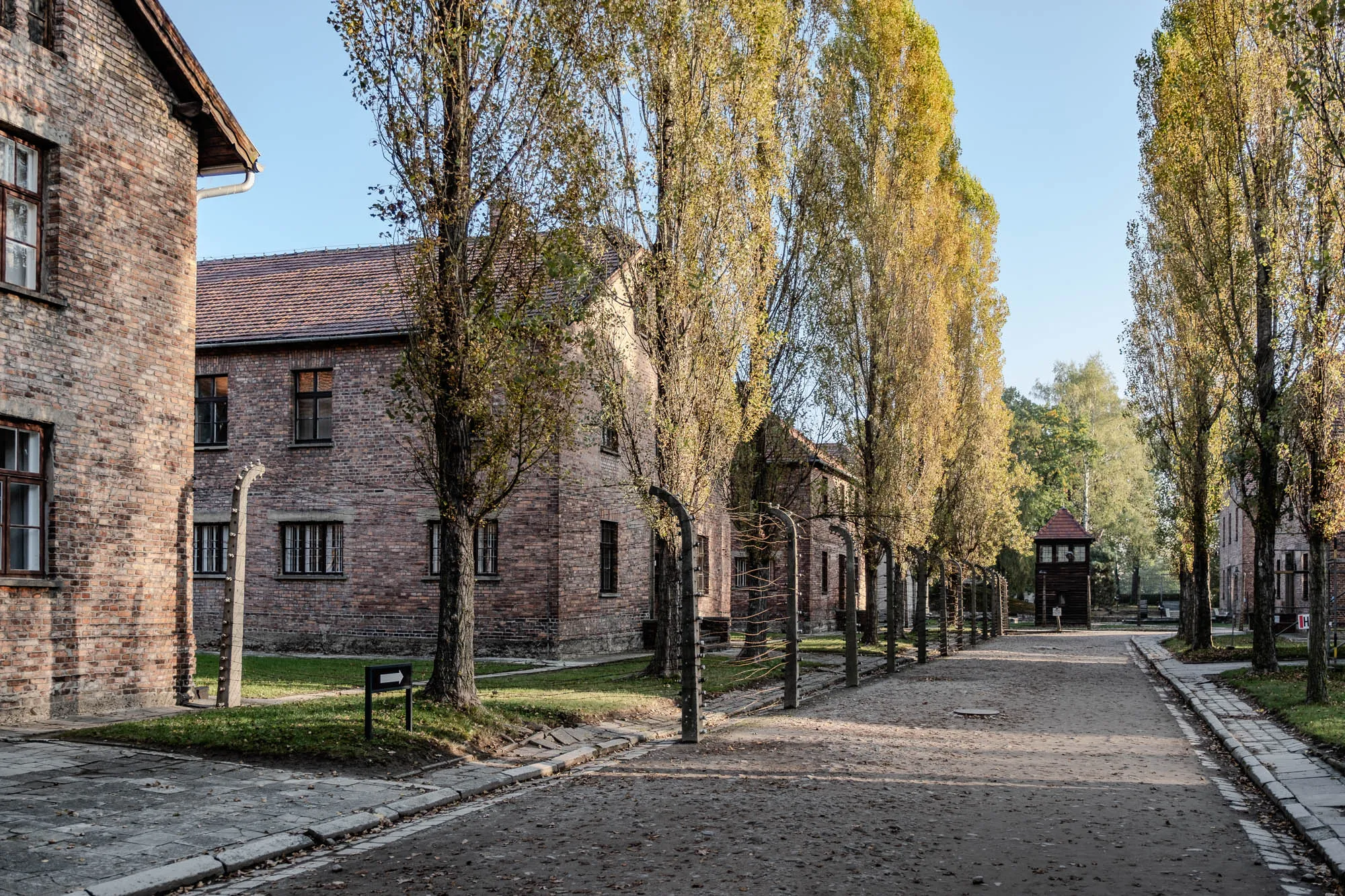 The image shows a view down a pathway lined with tall trees. The trees are bare and the ground is covered with fallen leaves.  The pathway leads to a small wooden building with a roof and what looks like a lookout tower.  On either side of the pathway are brick buildings with windows and tall metal fences.  The buildings are old and worn, and the fences are topped with barbed wire. There is a sign on the right-hand side of the path that says "Auschwitz I".   The scene is a stark and sobering reminder of the horrors of the Holocaust.  The bare trees, the worn buildings, and the barbed wire fences all symbolize the hardship and deprivation that were experienced by those who were imprisoned in Auschwitz. 
