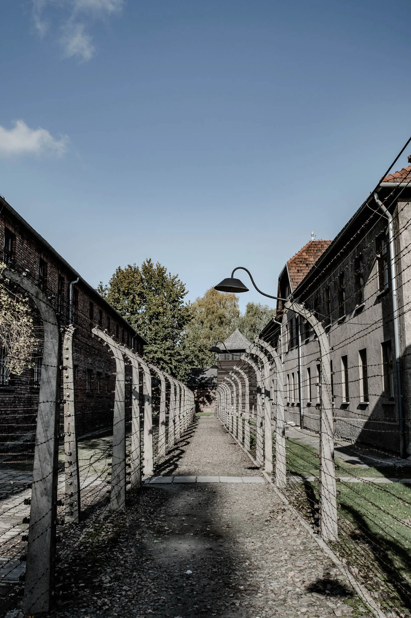 The image shows a view down a pathway within a concentration camp, with barbed wire fences on either side. The pathway is made of gravel and is lined with tall concrete posts with barbed wire stretched between them. The fences are covered in shadows cast by the posts. On the left, there is a brick building with windows, and on the right, a concrete building with windows. The buildings are both tall and appear to be empty and abandoned. The sky is blue and cloudless. There is a streetlight on the right side of the pathway, with a light fixture on top. It is casting a shadow onto the ground. The image is a stark reminder of the horrors of the Holocaust and the suffering endured by those who were imprisoned in these camps.  The image is likely a historic photograph of the Holocaust. 
