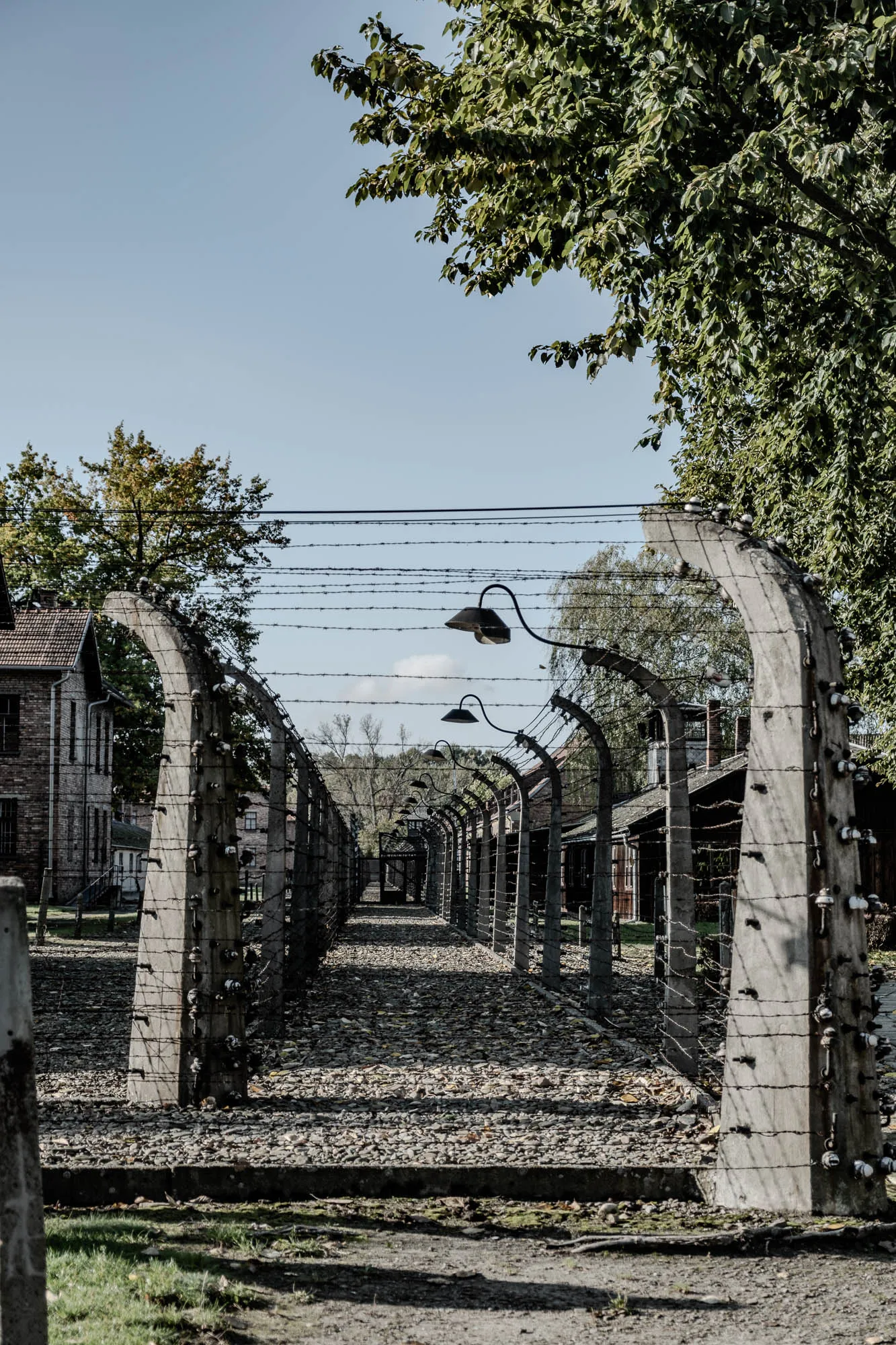 This is a photo of a barbed wire fence with concrete posts and light fixtures at the top. The fence is in a long straight line, and the view down the path is lined with similar fences on either side. The fence looks old and weathered, and the ground is covered in gravel.  It is a somber scene that looks like it could be from a concentration camp.  On the left side, there is a building behind the fence. There are trees and bushes in the distance. The sky is clear and blue.  The photo is taken from a low angle, looking up at the fence.  It is a stark reminder of the atrocities that occurred during the Holocaust.