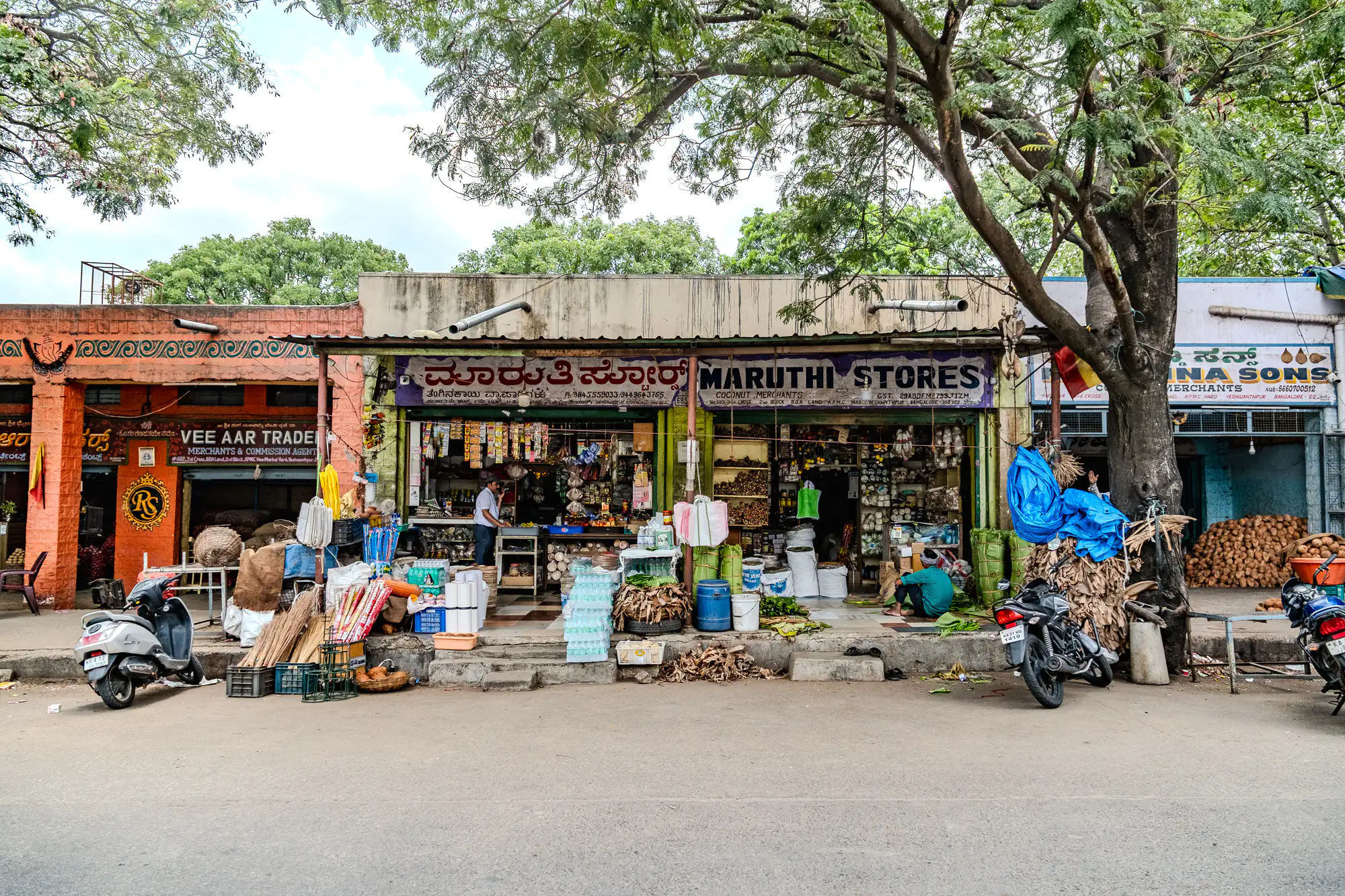 A row of street-level market storefronts stands beneath the sprawling canopy of a mature leafy tree along an asphalt roadway. The central shop, Maruthi Stores, features bilingual signage in Kannada script and English, surrounded by open-air displays of dried brooms, bundled goods, stacks of bottled water, and woven baskets. To the left, an orange-walled merchant shop borders a parked grey scooter, while to the right, mounds of husked coconuts fill an adjacent stall beside a black motorcycle draped in blue plastic. Two men occupy the raised concrete threshold, one standing inside by the shelves and the other seated on the platform amidst loose greenery and wares.