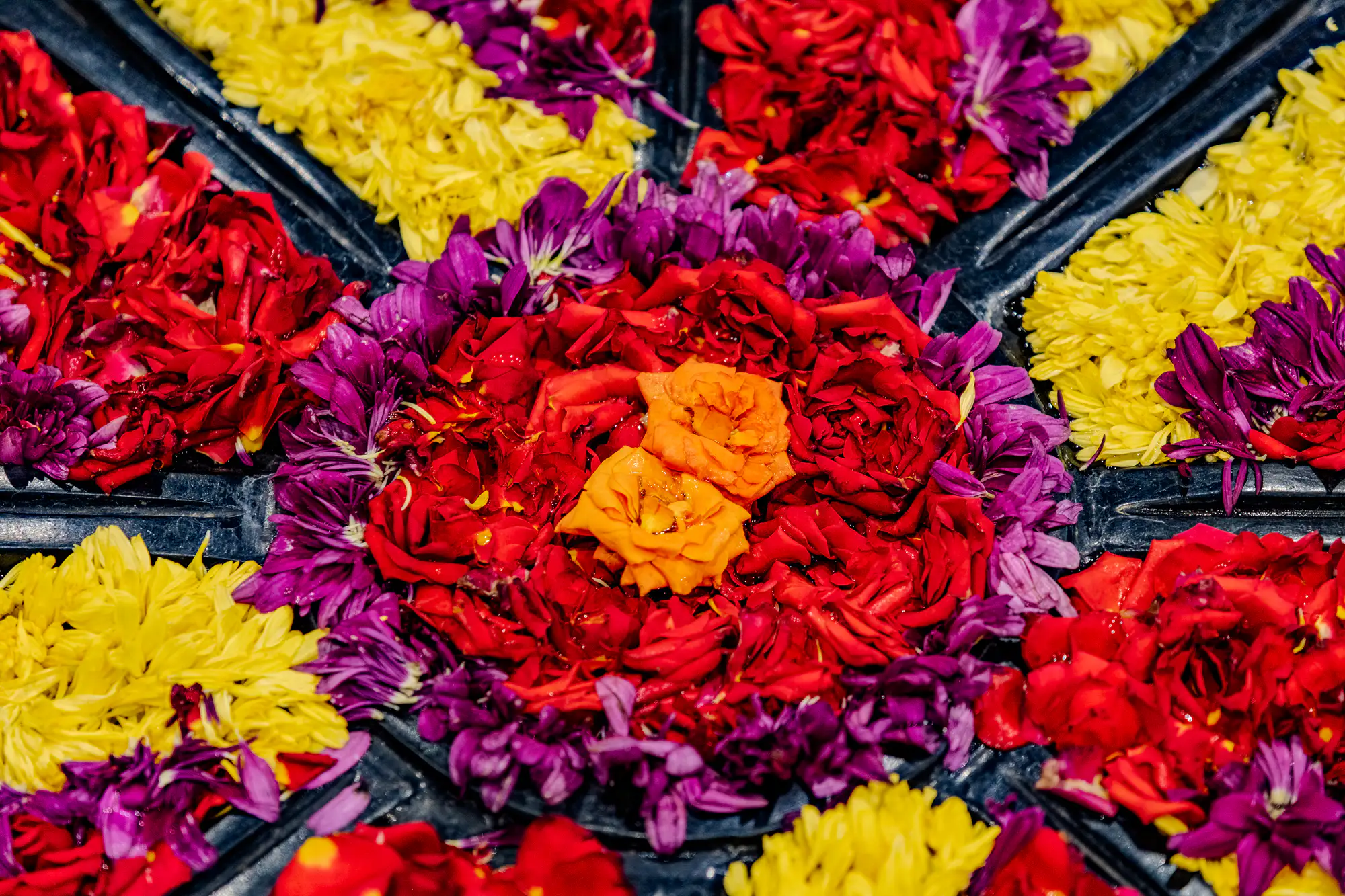 Concentric rings of fresh flower petals fill a dark, segmented container in a detailed radial arrangement. At the very center, two vivid orange roses rest encircled by a dense ring of deep red petals and an outer border of purple blossoms. Segmented sections branch outward along black spokes, alternating between bright yellow petals and crimson floral clusters. The top-down perspective highlights the velvety textures and precise geometric symmetry of the colorful display.