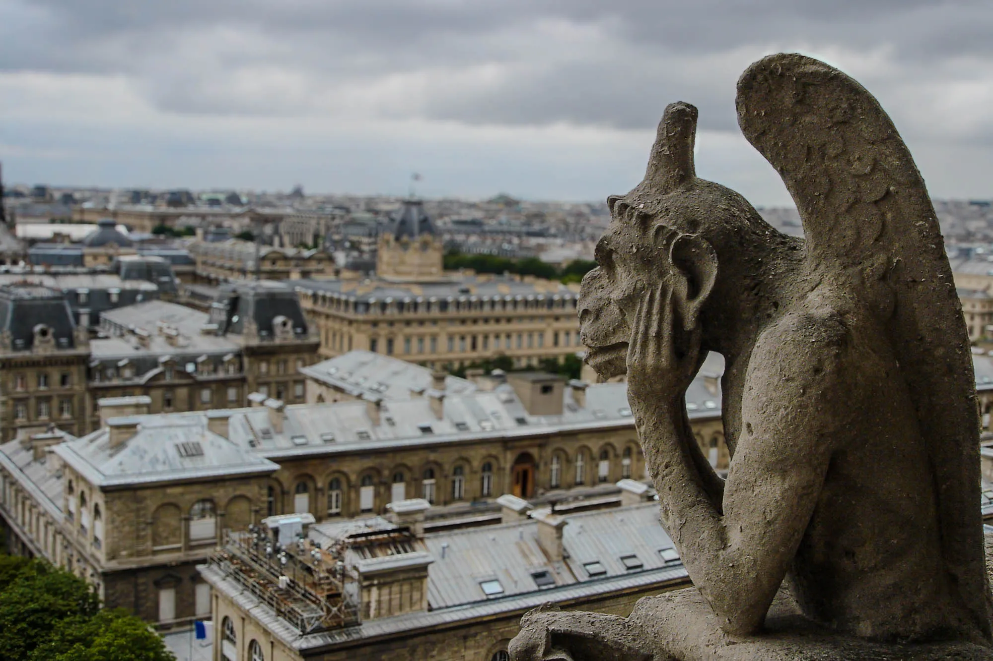 A grotesque looking out over Paris.