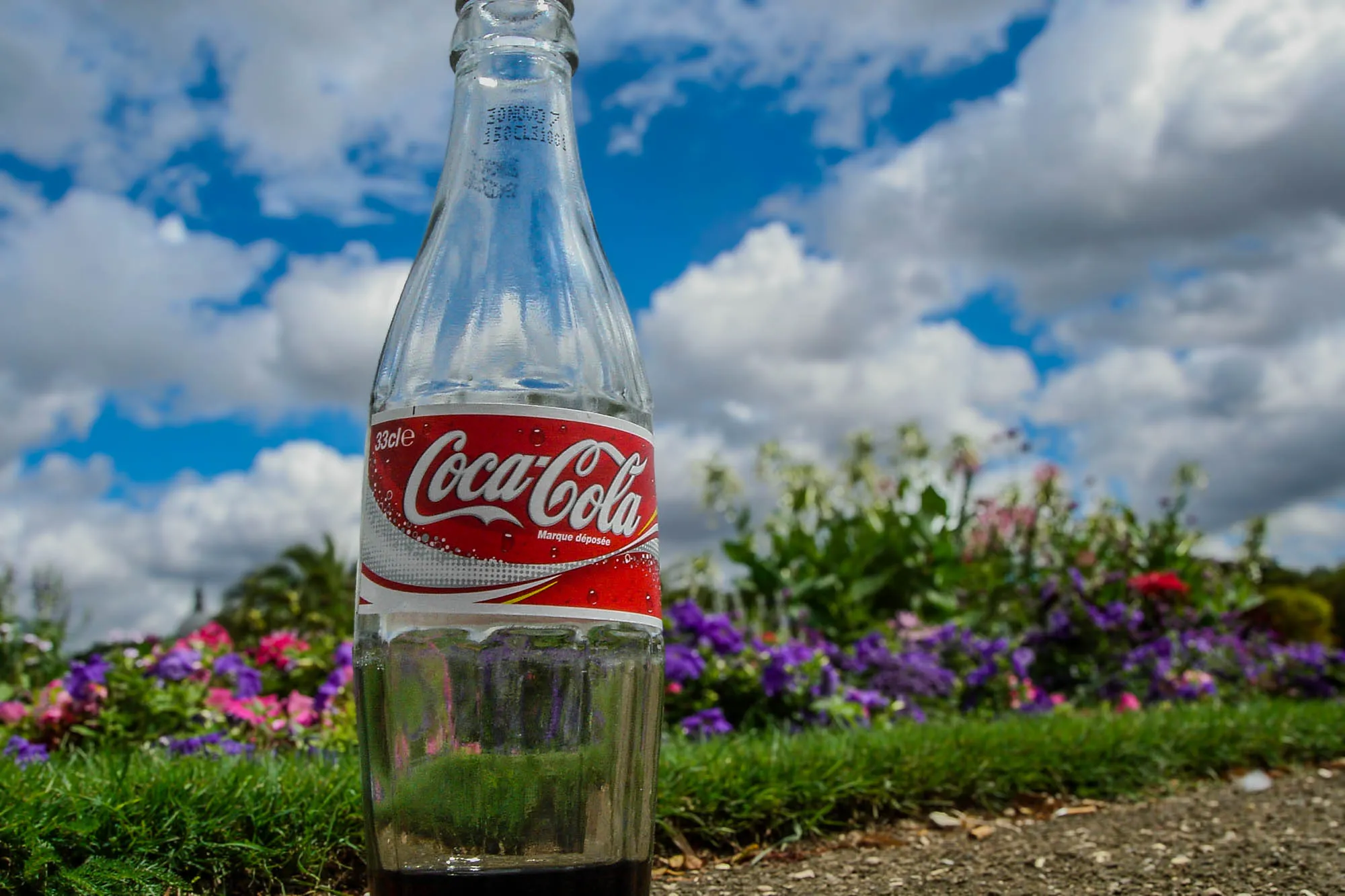 A glass almost-empty Coca-Cola bottle in front of a rwo of grass and flowers, with the sky in the background. The bottle is presented as if a portrait of a person.