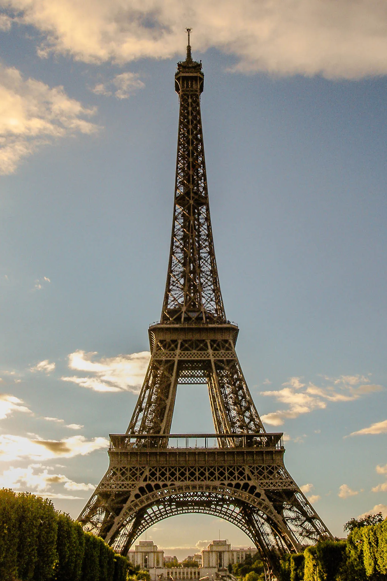 The Eiffel Tower at golden hour, straight-on, full length, with a row of hedges outling a path underneth it.