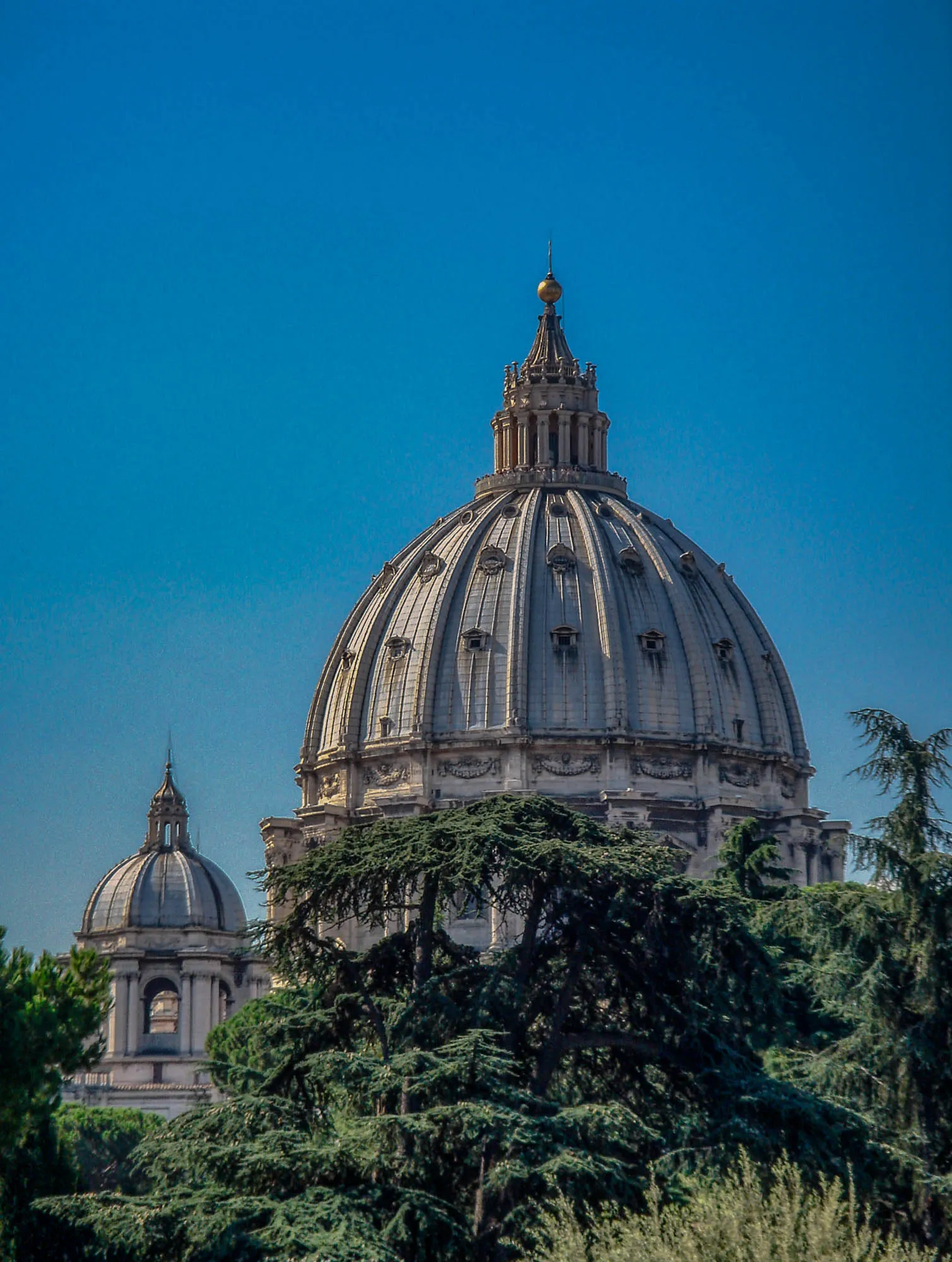 The dome of St. Peter's Basilica rising up above the trees, its roof lantern shaped like a crown. A smaller dome can be seen through the trees to the mottom left.