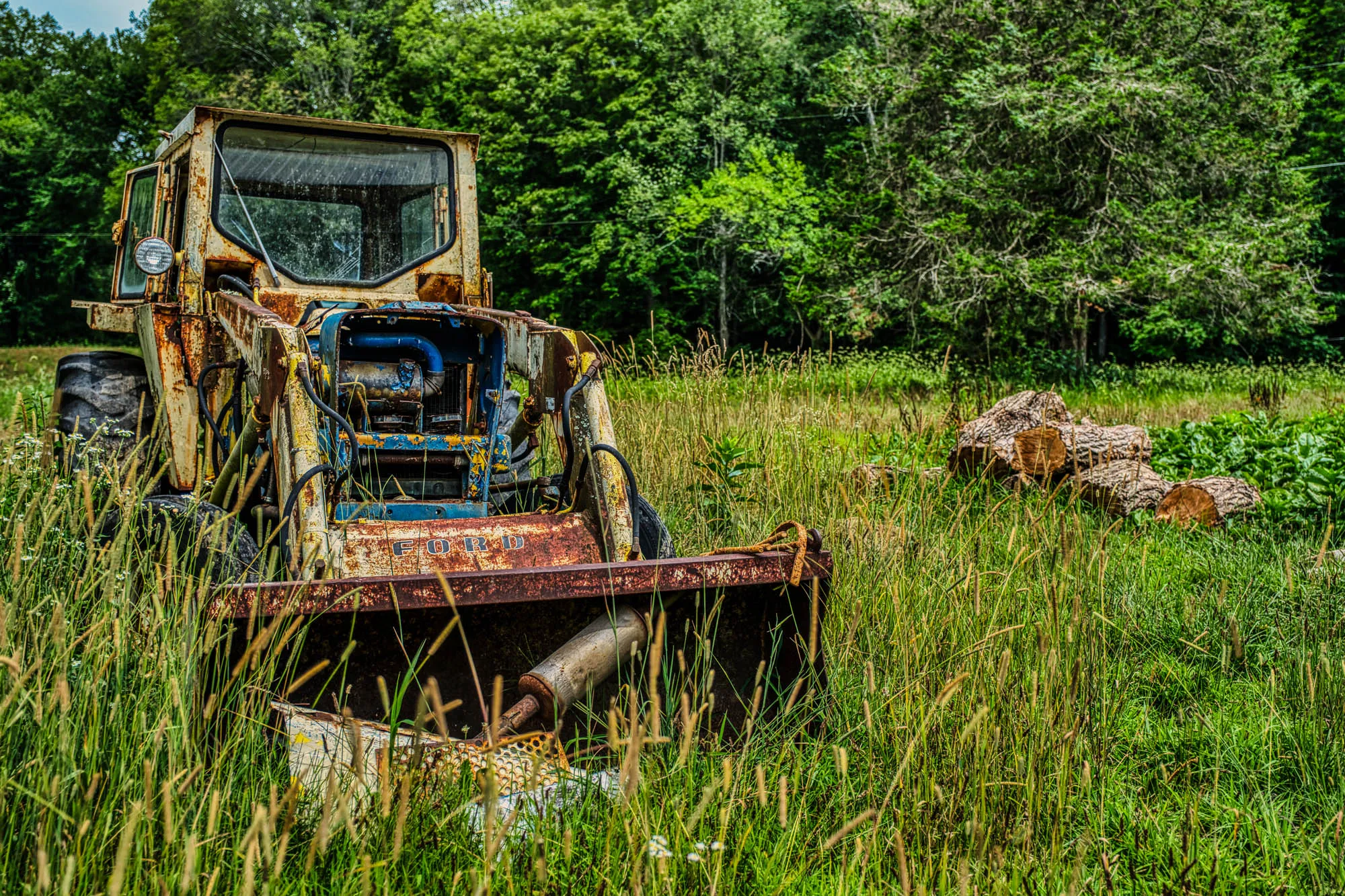 A rusted old Ford tractor with a faded yellow paint job and blue painted engine, with a bucket attached to the front. It's sitting in tall grass with trees behind it.