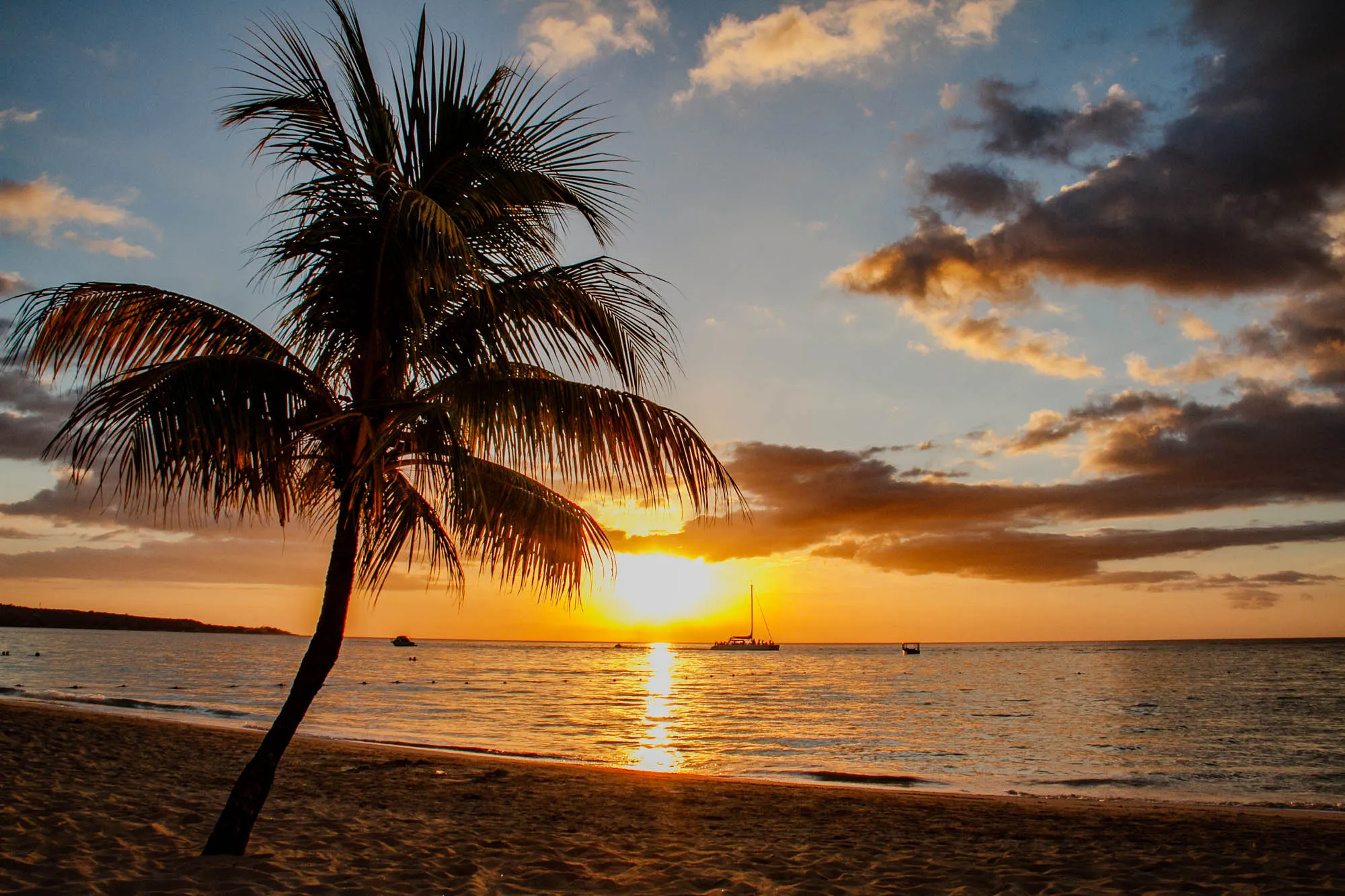 The image depicts a sunset scene on a tropical beach. A large palm tree stands in the foreground, its silhouette partially obscuring the bright orange and yellow hues of the setting sun. The sun is visible in the distance, just above the horizon, casting a warm glow over the water. The sky is a mix of bright oranges, yellows, and pinks, with fluffy white clouds scattered across the blue expanse. The beach is a sandy expanse stretching out to the water's edge. The calm, clear water reflects the colors of the sunset, creating a shimmering effect.  There is a catamaran sailing past the sunset a short distance from the shore. The overall impression is one of tranquility and peace. 
