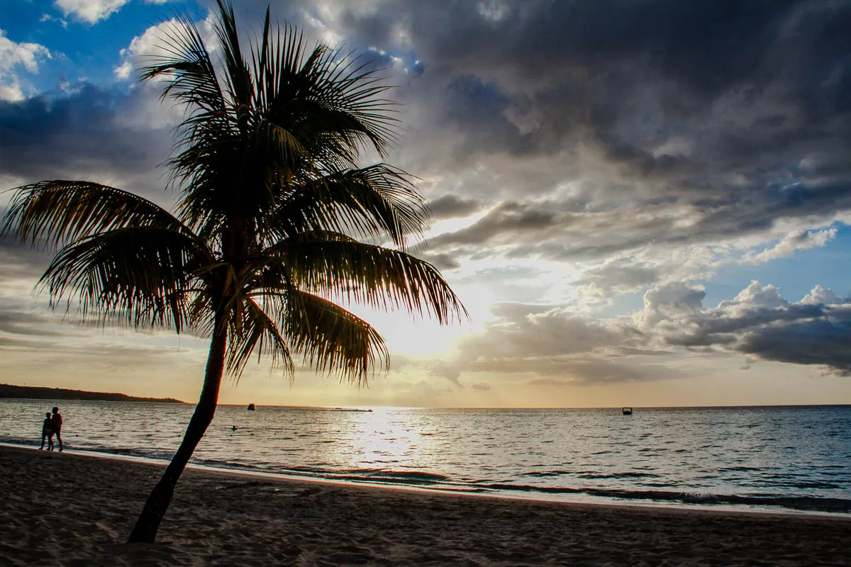 A tall palm tree stands on a sandy beach with the ocean and a cloudy sunset behind it. The sky is a gradient of blue, grey, and yellow. The sun is setting in the distance and the water is reflecting its light. There are a few small clouds in the sky, and two people are walking on the beach in the distance. The palm tree is in the foreground and is silhouetted against the sunset. The image is a calming scene, with a sense of peace and tranquility.