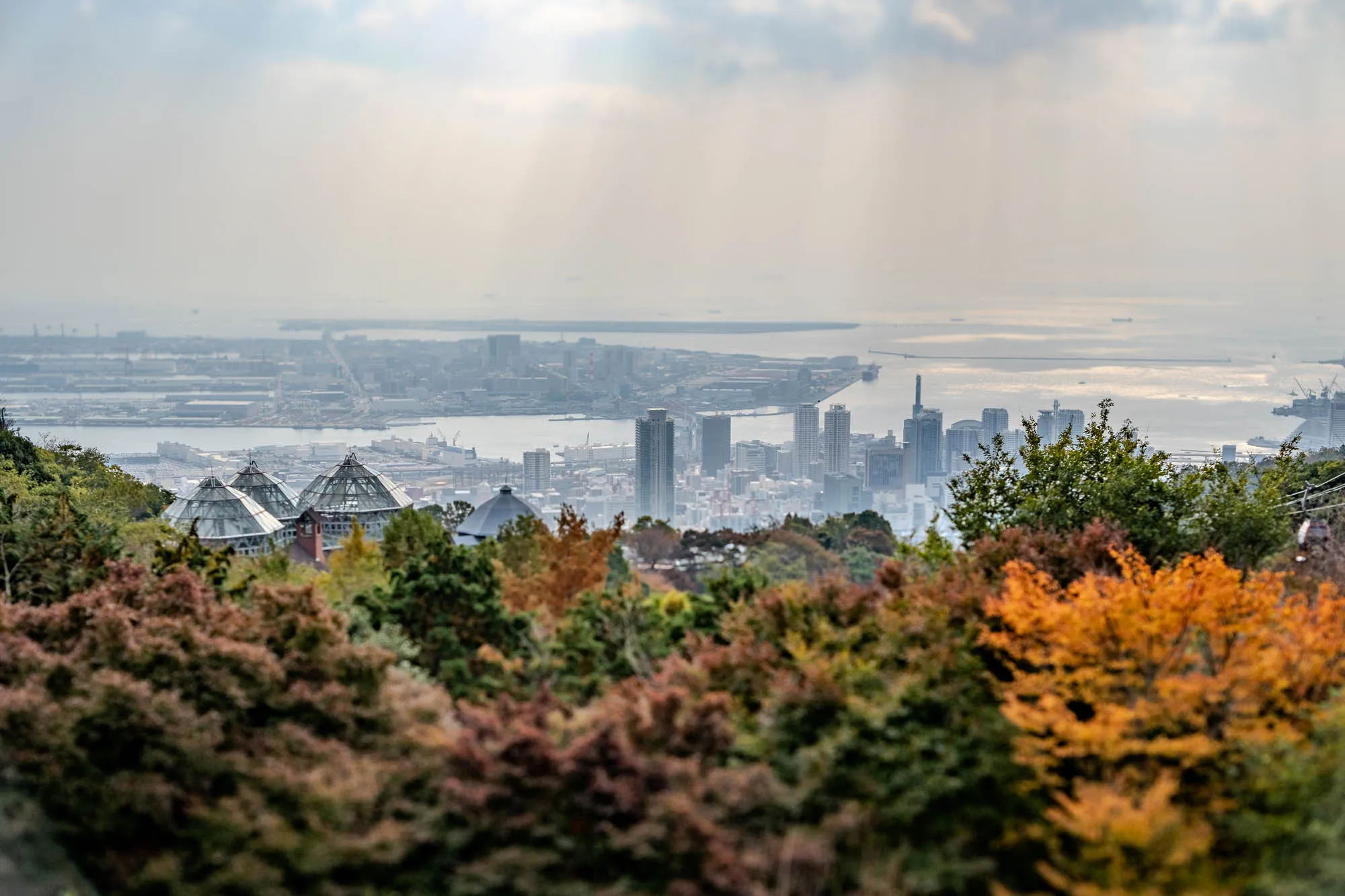 A tilt-shift technique transforms a high-angle view of Kobe, Japan, into a miniature tableau, framed by a foreground of soft-focus autumn foliage in burnt orange and green. In the sharp mid-ground, the faceted glass domes of the Nunobiki Herb Gardens sit perched on the hillside, overlooking the dense, gray grid of the city's port infrastructure and skyline. Far in the distance, crepuscular rays filter through heavy clouds, casting a celestial spotlight on the shimmering waters of Osaka Bay. The composition utilizes a selective focus that blurs the top and bottom of the frame, emphasizing the toy-like scale of the urban landscape below.
