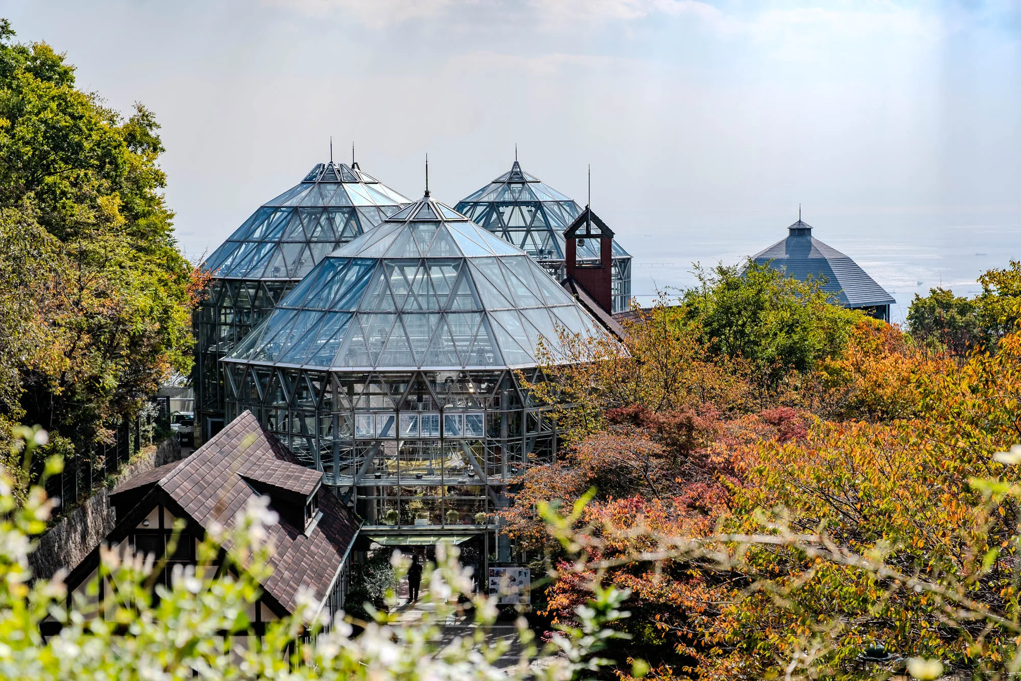 Framed by a soft, out-of-focus foreground of white blossoms, the faceted glass domes of the Kobe Nunobiki Herb Gardens emerge from a hillside dense with autumnal trees in shades of ochre and green. The complex’s geodesic structures display a precise steel latticework, contrasting with the dark, tiled roof of a lodge-style building to the left and a small bell tower. A solitary visitor stands near the conservatory entrance, providing a sense of scale against the towering architecture. Beyond the glass peaks, the view dissolves into the bright, atmospheric haze of Osaka Bay, emphasizing the garden's elevated position on the mountain slopes.