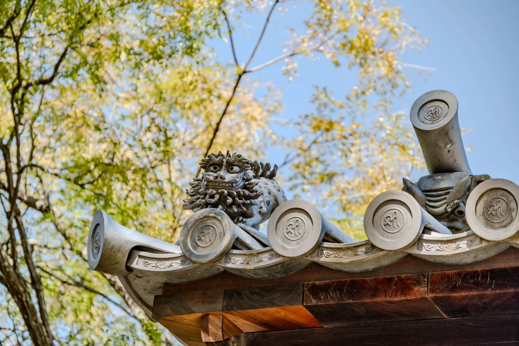 A detailed stone guardian figure with a fierce, open-mouthed expression and an elaborate, curly mane adorns the peak of a traditional gray tiled roof. The figure, carved with intricate textures and prominent eyes, sits prominently against a backdrop of vibrant, out-of-focus green and yellow leaves, suggesting autumn foliage. Circular decorative caps with embossed symbols punctuate the curved roof tiles, which rest upon a rich, dark wooden structure. Above, a clear blue sky peeks through the blurred branches, enhancing the sharp focus on the architectural details.