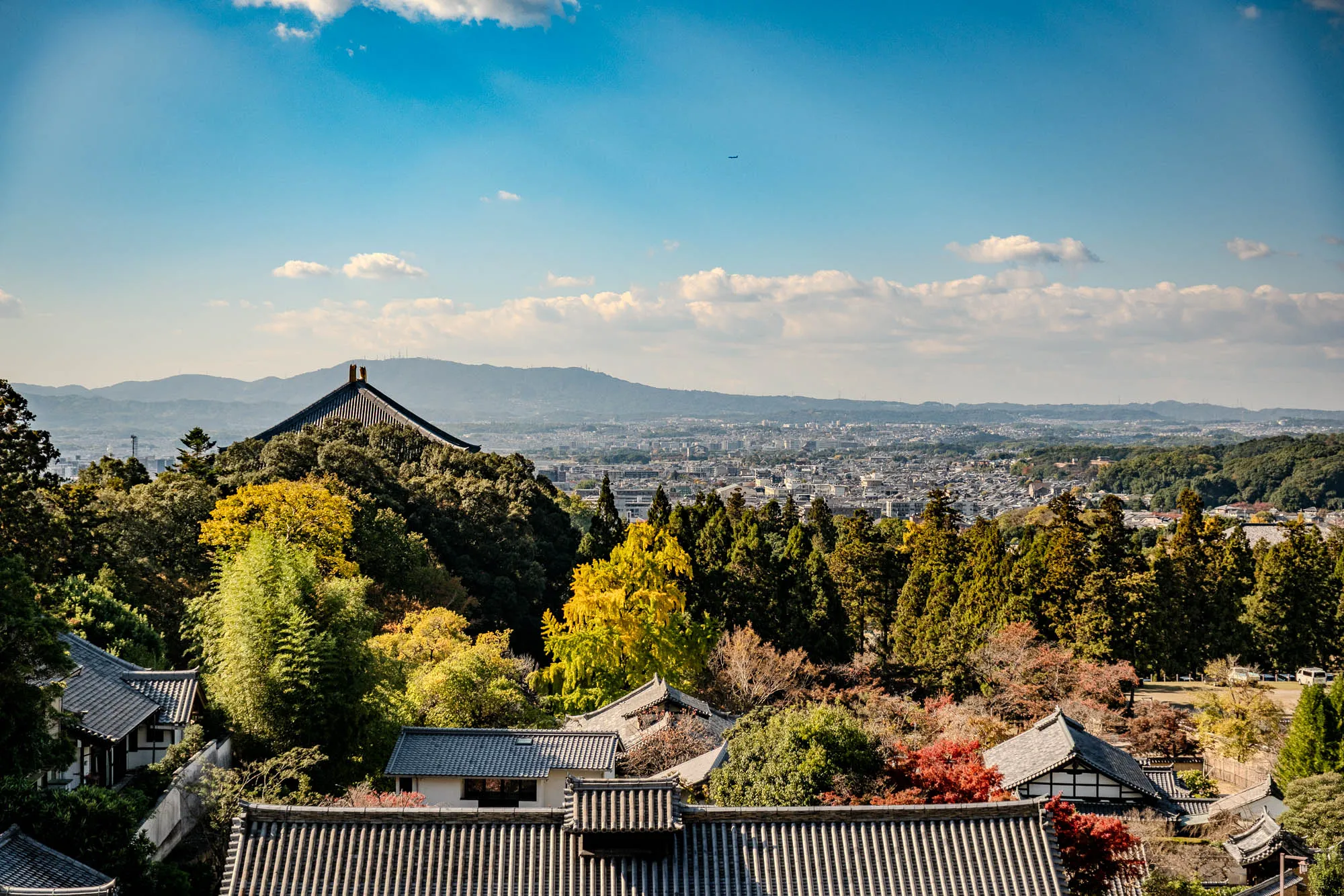An expansive aerial view captures the majestic, dark-tiled, curved roof of the Todai-ji Temple's Great Buddha Hall, nestled among a dense canopy of trees vibrant with autumn golds and deep greens. In the foreground, a cluster of traditional Japanese tiled rooftops with white walls and dark timber details recedes down a gentle slope, surrounded by meticulously manicured evergreens and splashes of red foliage. Beyond the temple, a sprawling cityscape extends to the horizon, dotted with buildings under a vast, bright blue sky scattered with soft white clouds. A faint airplane contrail is visible in the distant sky, above hazy mountains.