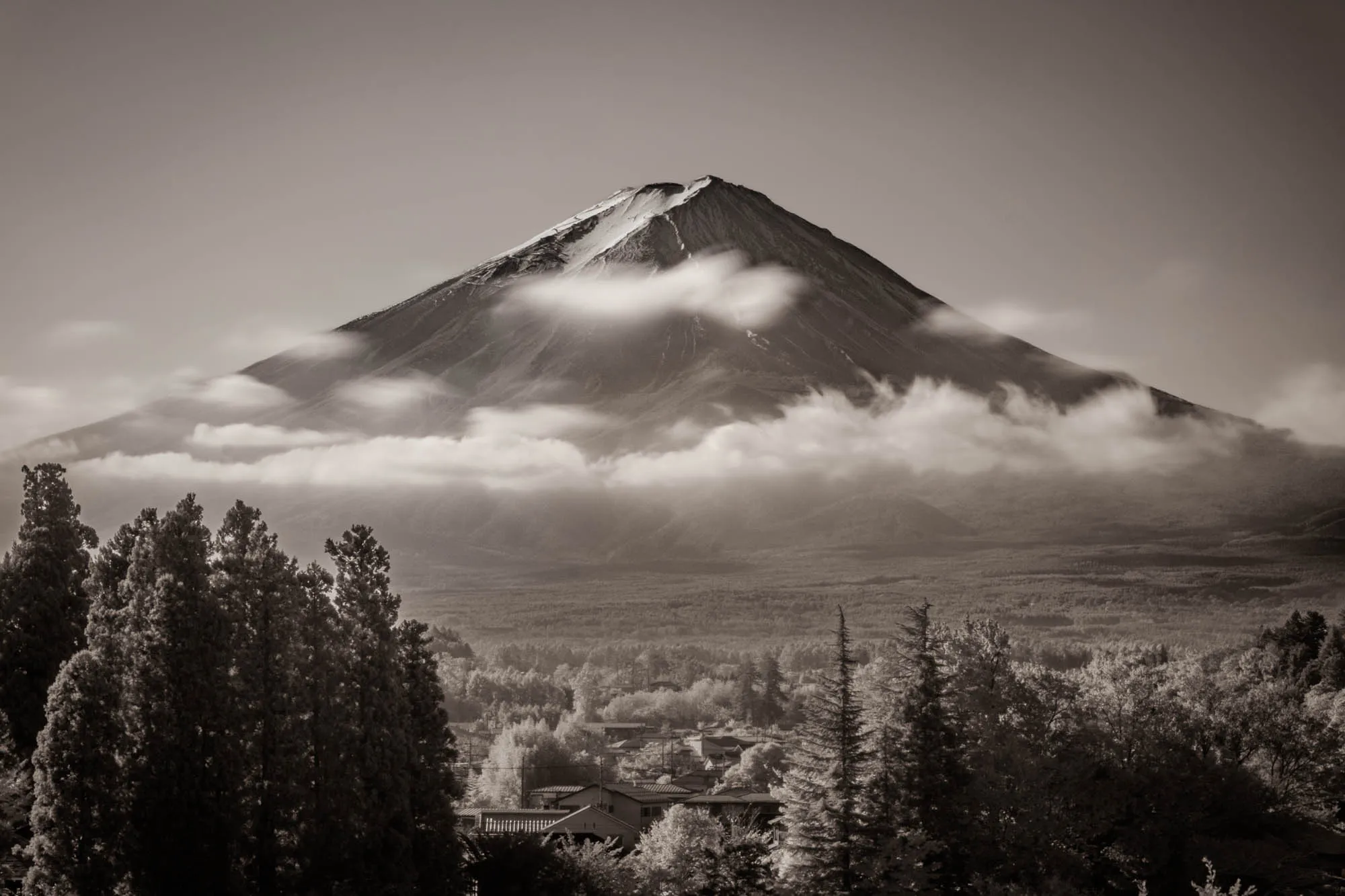 Mount Fuji, its majestic, snow-capped peak ascending prominently against a pale sky, is gracefully encircled by a band of soft, diffuse clouds at its mid-section. Below the mountain, a sprawling forest displays striking luminosity, characteristic of infrared photography, with lighter-toned deciduous trees contrasting against darker evergreens. In the foreground, dense, dark coniferous trees frame a distant, subtly rendered village nestled amidst the ethereal foliage. The entire sepia-toned landscape presents a serene, timeless vista with a deep depth of field that renders both foreground and background sharply.