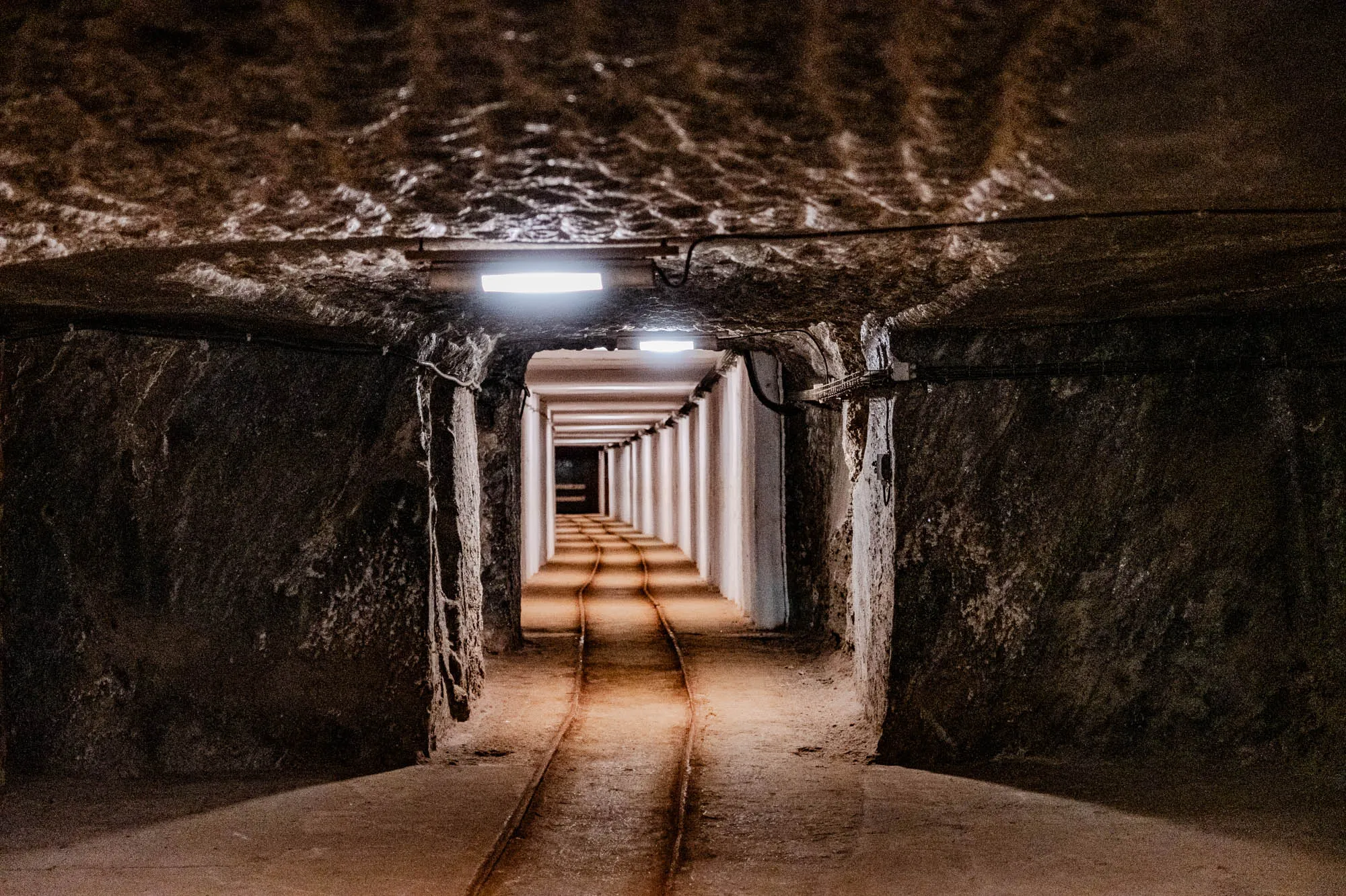 The image shows a long, narrow tunnel with rough, uneven walls. The tunnel is dimly lit by overhead lights and the walls are made of a dark, rough material that is probably rock. Two parallel tracks run down the center of the tunnel. The tunnel seems to stretch far into the distance,  but the end of the tunnel is too dark to make out any details.  The image gives a sense of isolation and mystery.