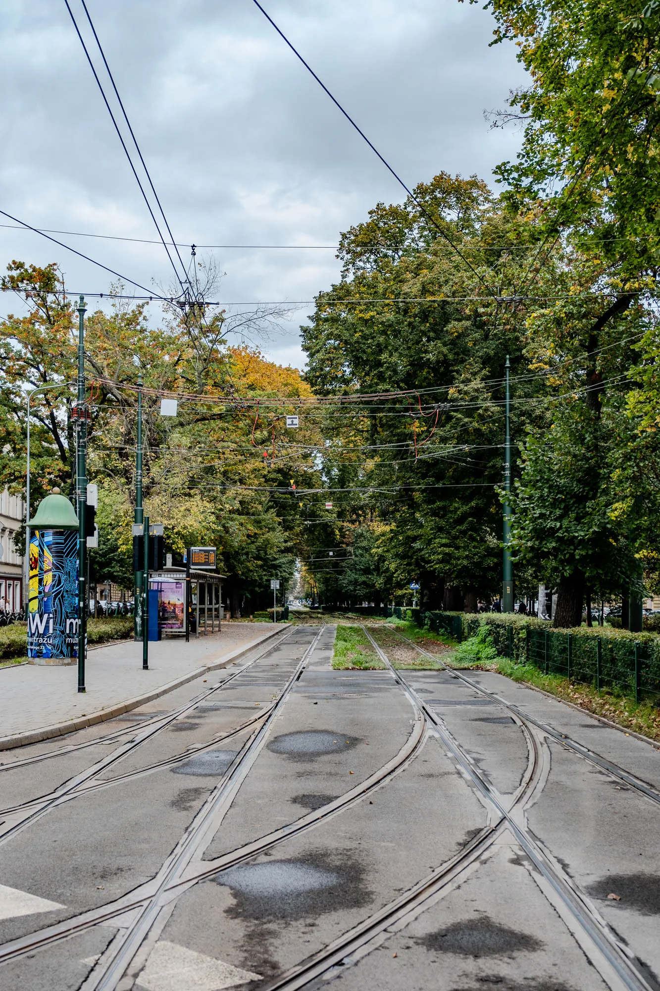 The image shows a street with tram tracks in the center. The tracks are made of metal and are surrounded by gray pavement. There are several large trees lining the street on both sides, some of them with autumn foliage. The trees are tall and their branches are reaching towards the sky. The street is empty and there are no cars or people visible. There are power lines running across the top of the image. The sky is overcast and there is a light gray background. The street is slightly damp from recent rain. The tracks continue in the distance and disappear into the background. There is a street sign visible in the distance.  On the left side of the image, there is a sign post with a colorful sign that reads "Witrazu Mu". The sign is advertising an art gallery. There is also a bus stop on the left side of the image, with a blue sign. The bus stop has several benches and a glass shelter. There is a small green fence between the pavement and the grass verge beside the tracks.  The image gives the impression of a quiet and peaceful street in a city, where people are not present but there is a sense of activity.