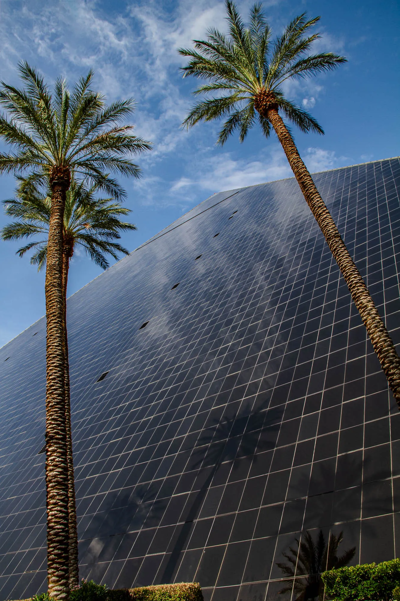 The image shows two palm trees in front of a tall black building. The building is made up of black square tiles and has a grid pattern. The building is reflective and shows the reflection of the palm trees and the blue sky with white clouds. The sky is mostly blue with white wispy clouds. There are some green bushes in the bottom of the image.