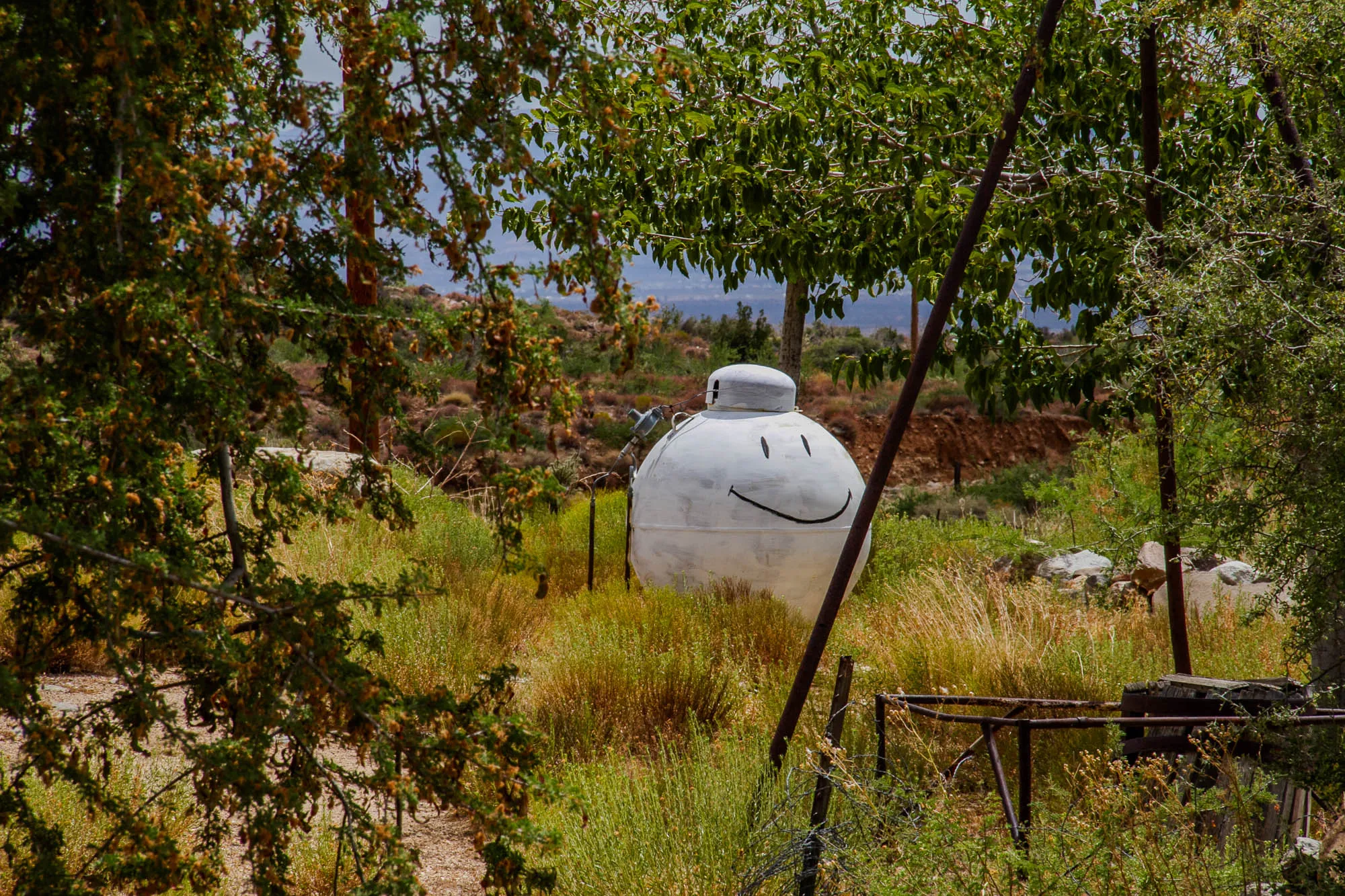 The image shows a white round object with a smiley face painted on it. It is situated in a field of tall grass and surrounded by a few trees. It looks like a propane tank or a water tank. The smiley face appears to have been drawn with black paint. The trees are mostly out of focus, but you can tell they are green and leafy. The ground around the object is brown and dry, with some small rocks scattered around. A rusty metal fence is seen in the foreground and extends to the right and into the field.