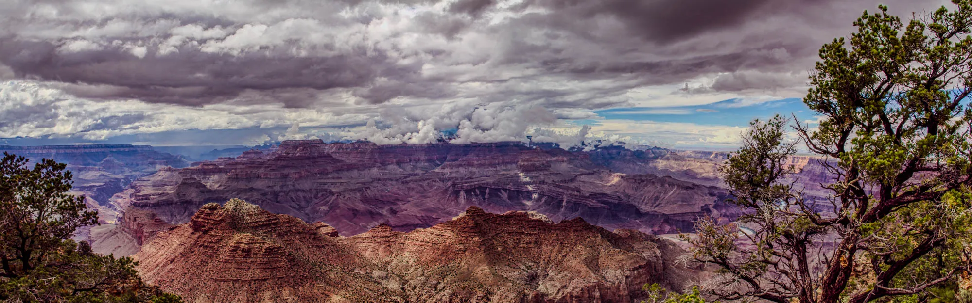 The image shows a panoramic view of the Grand Canyon. It is a wide shot with a large tree in the foreground, obscuring the view of the canyon in the bottom right corner. The tree is a conifer with many branches. The canyon is a deep, vast gorge with layered rock formations. In the distance, the canyon appears to be a purplish-blue color. The top of the canyon is filled with a hazy layer of white clouds, and the sky is a pale blue. It is likely that a storm is approaching.