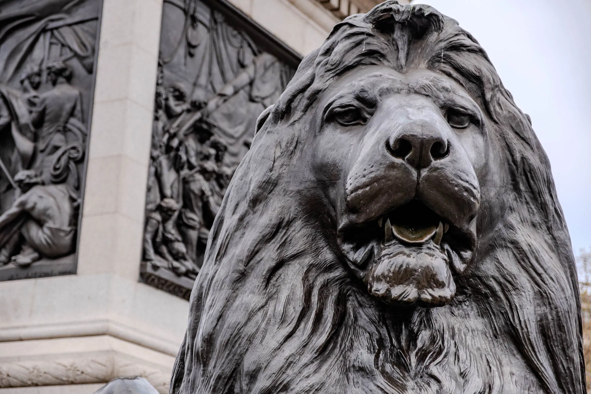 The image shows a close-up of a bronze lion statue. The lion's head is facing the viewer. The lion's mouth is slightly open, revealing its teeth. The lion has a large mane that is sculpted in detail, with individual strands of hair visible. The statue is set against a backdrop of a stone monument, which is partially obscured by the lion's mane. The monument is carved with intricate details of people and other figures.  The background is a pale blue, which suggests that it is a bright day. 
