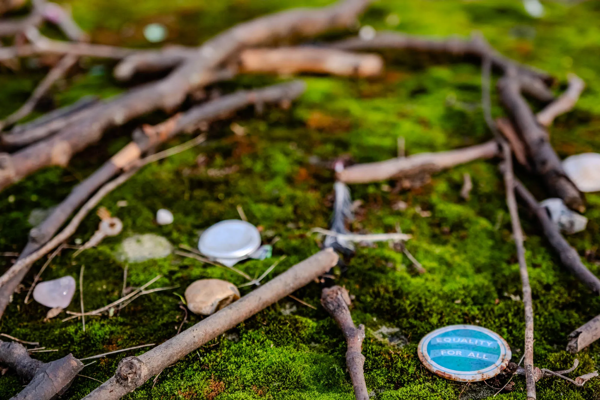 The image shows a patch of green moss with several brown branches laying on top of it. There is a round button laying on the moss that says "equality for all" in white lettering on a blue background. The button is laying on the right side of the image and is in focus. There are a few other objects on the moss, including a silver lid of a jar and a few small brown rocks. The background of the image is out of focus and shows more brown branches and a patch of green grass.