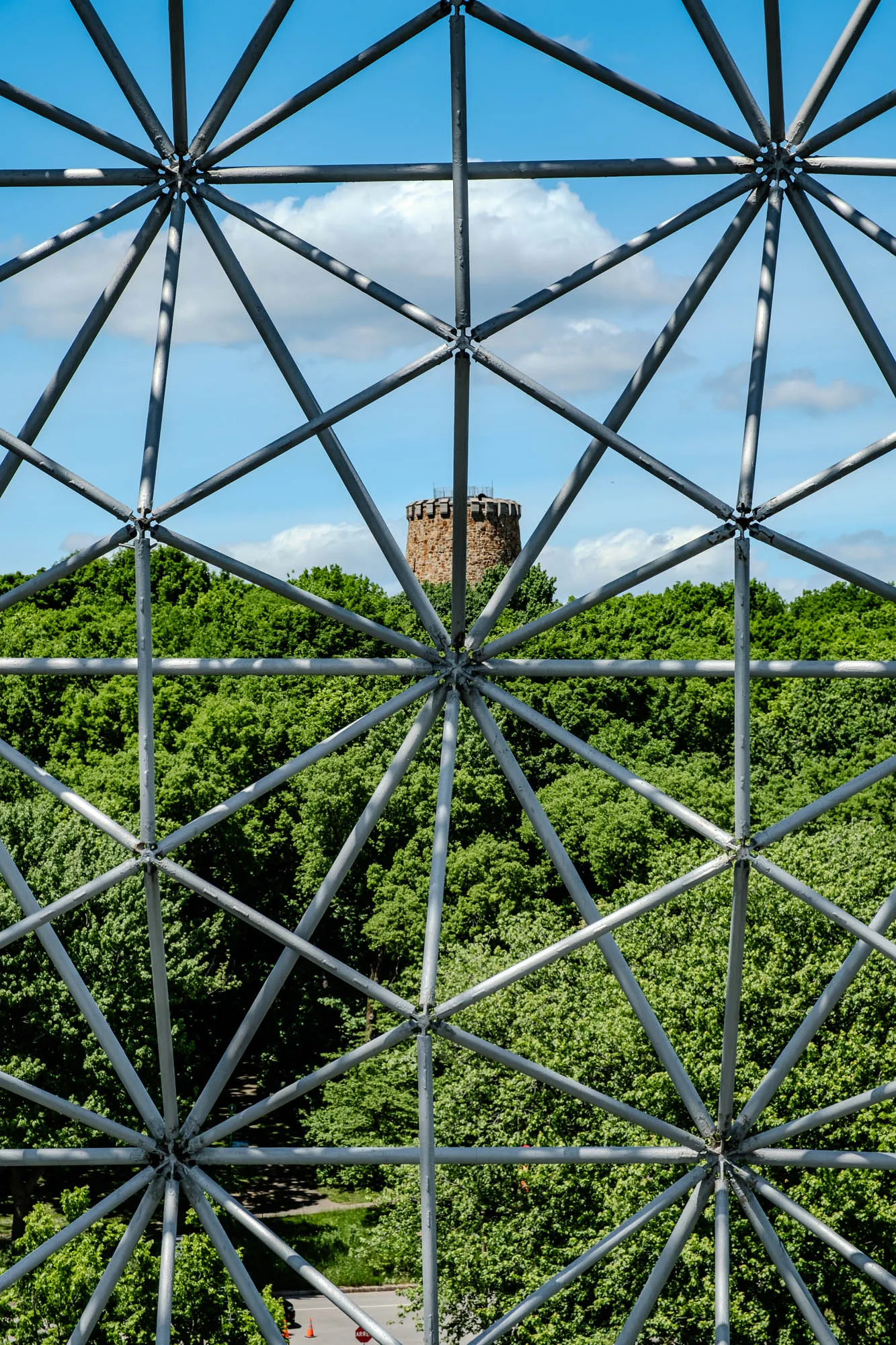 The image shows a large, half-dome-shaped structure made of steel. The structure is a geodesic dome and has a lattice-like appearance. It is made up of many interconnected steel beams forming a series of triangles. The dome is partially obscured by trees in the foreground. There is a building behind the dome and a bright blue sky in the background.