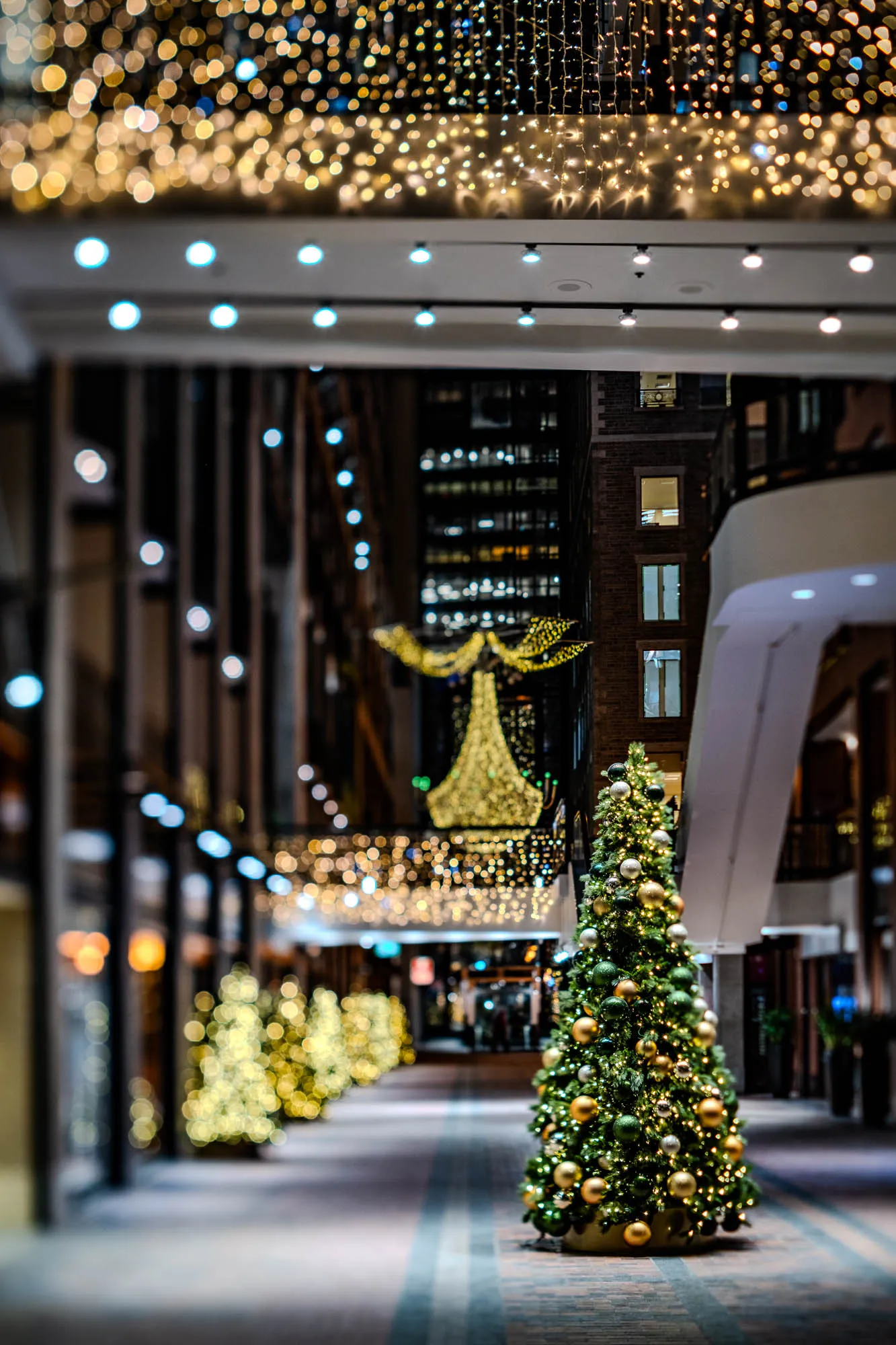 A richly decorated Christmas tree stands prominently in the foreground of a festive pedestrian thoroughfare, adorned with gold and green ornaments and warm string lights. The shallow depth of field creates a soft, sparkling backdrop of countless golden bokeh lights hanging from the ceiling, contrasting with the sharply focused tree. A row of smaller, out-of-focus illuminated trees recedes along the left side of the path, leading towards a large, abstract golden light sculpture further in the distance. The corridor is flanked by dark urban buildings with illuminated windows and recessed overhead lights, evoking a warm, inviting holiday atmosphere.