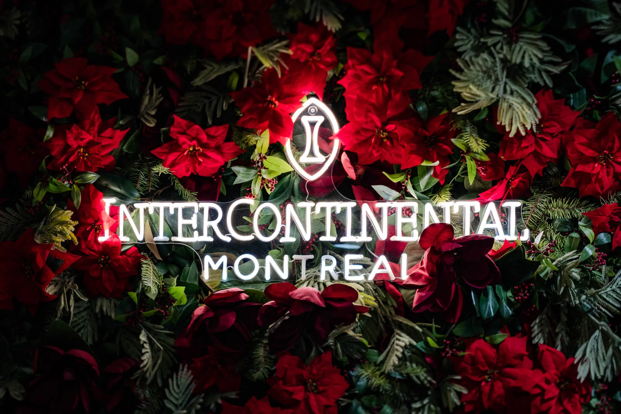 A bright neon sign, centered, displays "INTERCONTINENTAL MONTREAL" in glowing white capital letters, with a stylized 'I' logo suspended above. It is set against a dense, dark green botanical wall, richly adorned with vibrant red poinsettias and subtle accents of fir branches and red berries. The luminous sign casts a soft glow on the nearest foliage, creating a festive, deep contrast against the shadowed background. A very shallow depth of field renders the background elements softly blurred, emphasizing the sharp, illuminated text and vibrant red flowers in the foreground.