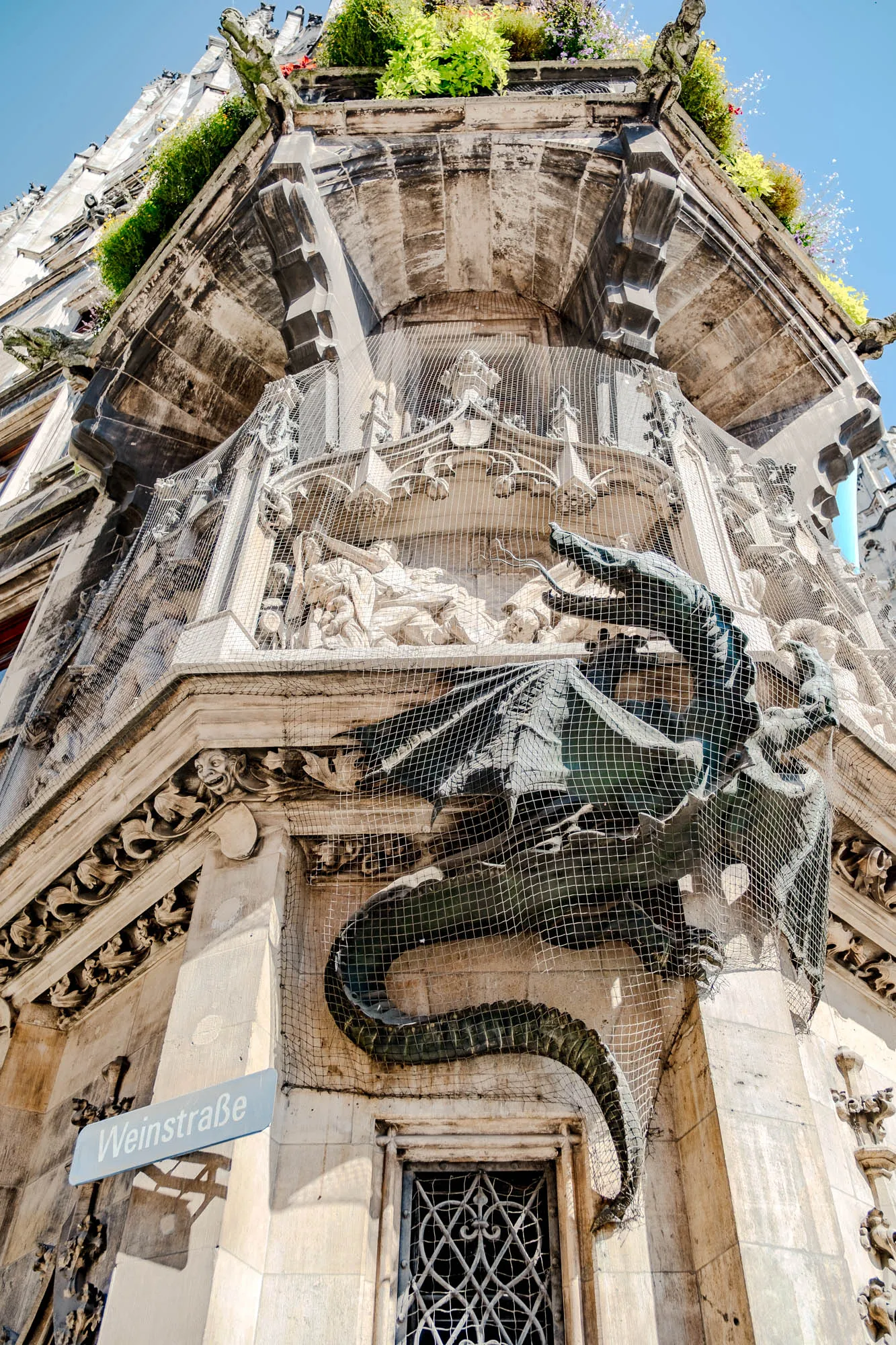 The image is a low-angle shot of a corner of a tall, ornate building, possibly made of stone or concrete. The perspective makes the building seem imposing and grand. A large, weathered green dragon sculpture is affixed to the corner of the building, partially covered with a protective net. Above the dragon, carved stone panels show a scene with several figures, possibly religious or historical. The building's architecture is highly detailed with intricate carvings, moldings, and sculptural elements, with a Weinstraße street sign on the corner, indicating a location in Germany. Small plants and greenery grow from the top ledges and recesses of the building, softening the hard stone lines and adding a touch of nature to the urban landscape. The sky is a clear, pale blue, suggesting a sunny day. The netting obscures some of the details of the dragon and the carvings, but their form is still visible.