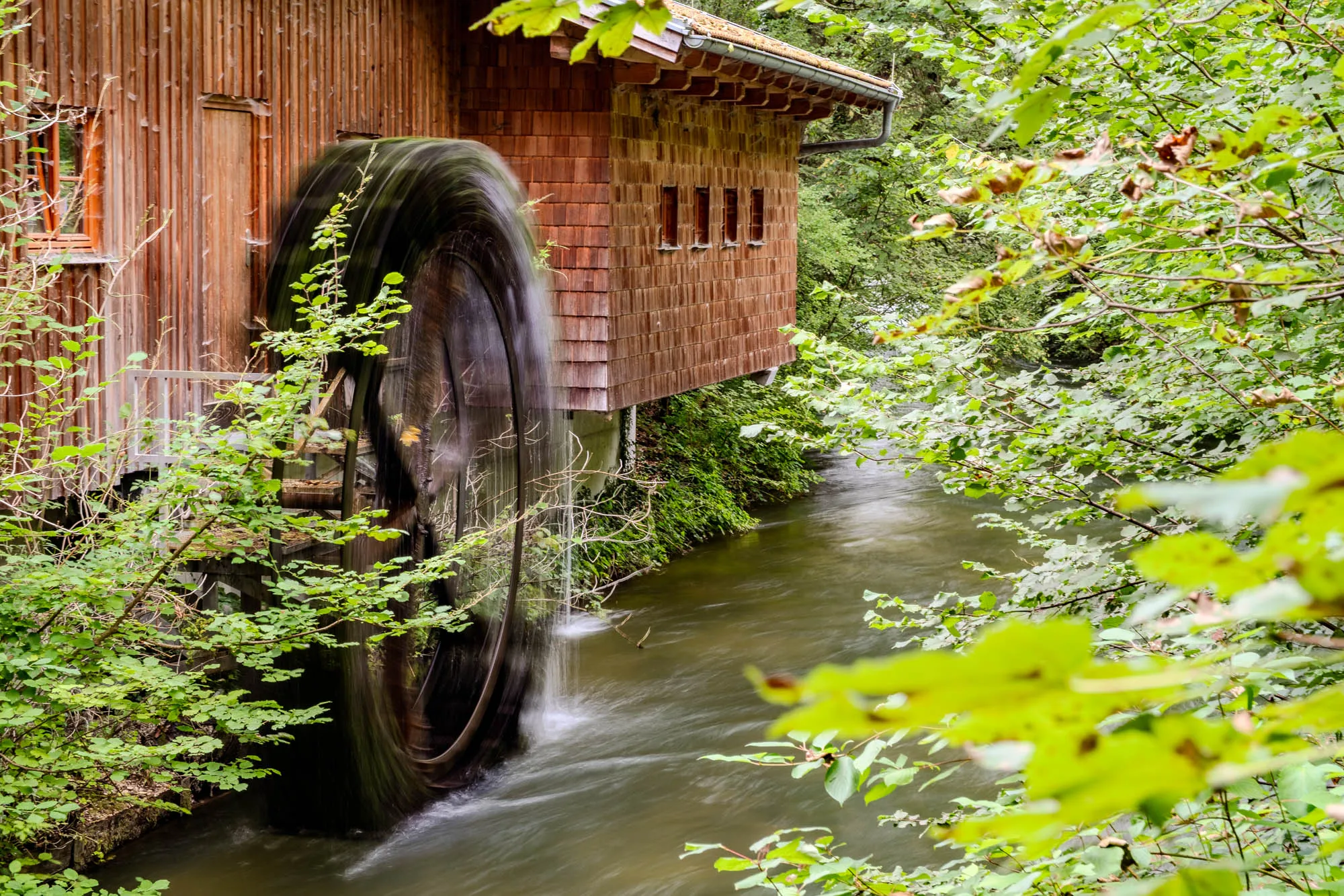 A wooden watermill house sits nestled beside a gently flowing stream, partially obscured by lush green foliage. The house, constructed with vertical planks and shingles, features small, rectangular windows on the overhanging section facing the stream. A large, dark water wheel, captured in motion, is attached to the side of the house. Water cascades off the wheel into the stream below, creating a blurred effect that suggests rapid rotation. The stream winds its way through a dense, green forest, with branches and leaves framing the scene. The sunlight filtering through the trees creates dappled patterns on the water's surface.
