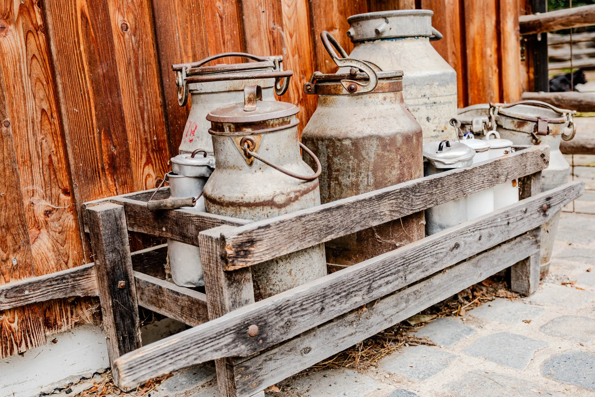 A collection of old, tarnished metal milk cans sits in a weathered wooden crate, set against the backdrop of a rustic wooden wall. The cans are various sizes and shapes, showing signs of age and use, with rusted spots and discoloration. Each can is topped with a lid, some of which have small handles or clasps. The wooden crate is made of rough-hewn boards and shows visible wear. The background wall is composed of vertical wooden planks, featuring a rich, reddish-brown hue with a noticeable grain pattern. The overall impression is one of rustic charm and a connection to a simpler, more agricultural past.