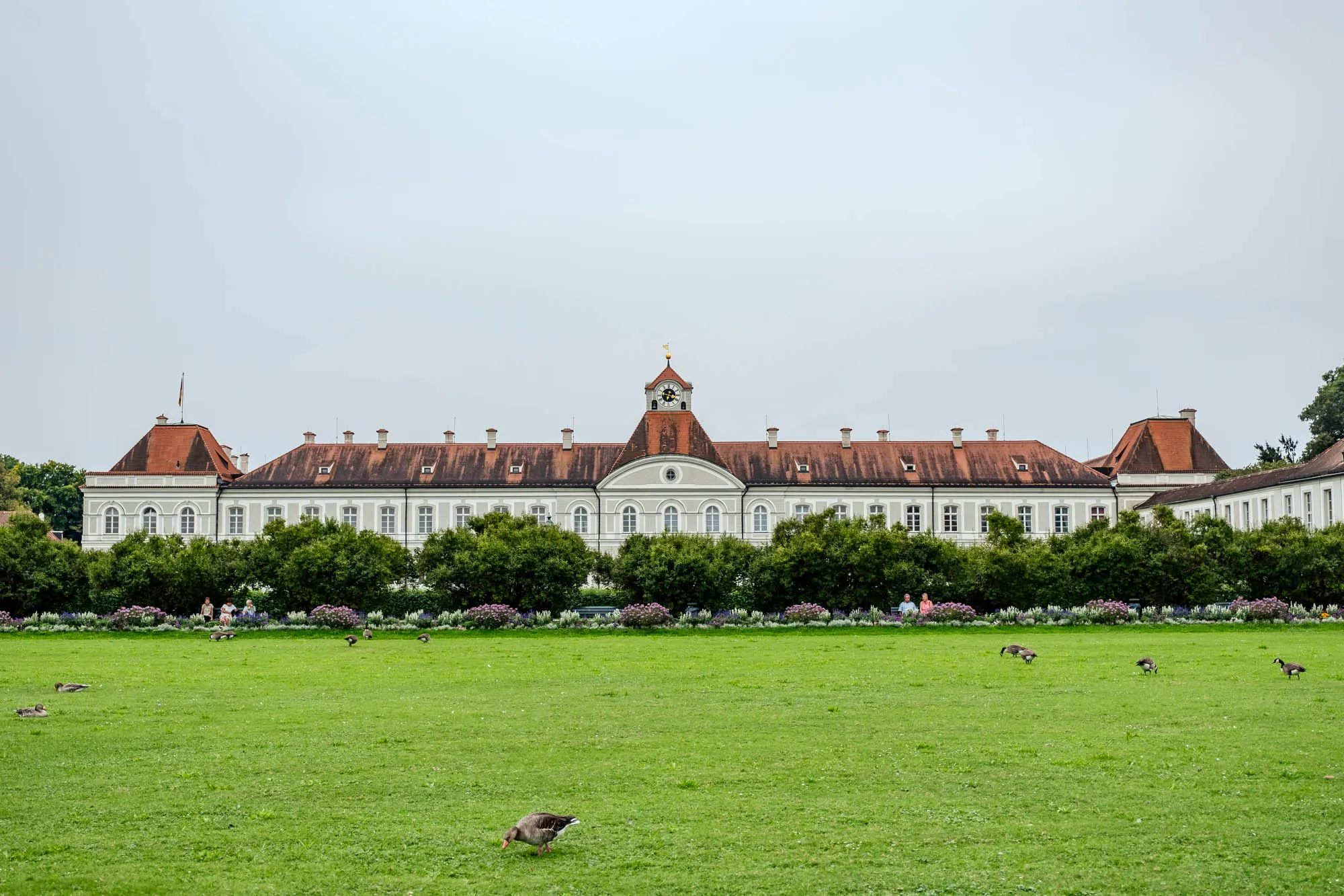 A wide, eye-level shot presents a grand palace set against a cloudy, overcast sky. The palace, a long, horizontal structure painted in a light gray or off-white, is the focal point of the image. It features a terracotta-colored roof with several chimneys evenly spaced along its length. The palace has multiple stories, each adorned with numerous evenly spaced rectangular windows with white trim. A central tower rises slightly above the rest of the roof, topped with a small golden spire. Below the palace, a neat row of trimmed green trees stretches across the frame, punctuated by small patches of purple and white flowers in front. In the foreground, a large expanse of vibrant green lawn extends toward the viewer. Several Canada geese are scattered across the lawn, some walking, some grazing. A few people are also visible, sitting on benches among the trees.