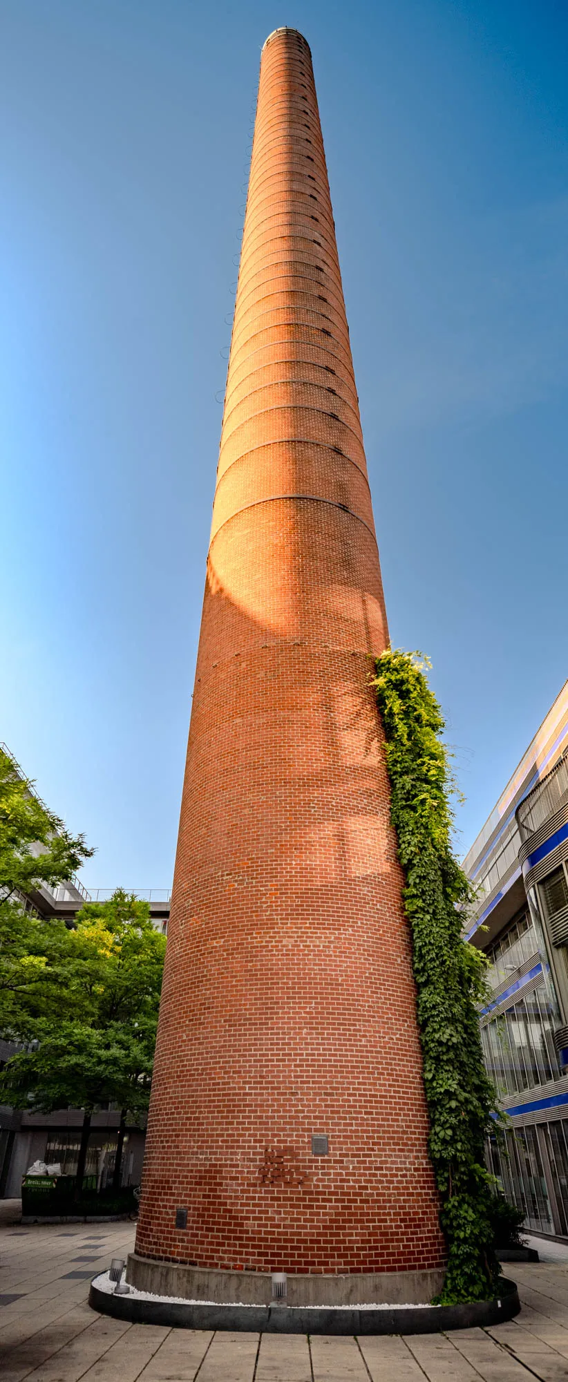 A very tall, cylindrical brick smokestack rises prominently against a clear, light blue sky. The smokestack, constructed of warm-toned, reddish-brown bricks, tapers slightly towards the top. The brickwork shows the individual rectangular bricks, creating a textured surface. On the right side of the stack, a thick curtain of vibrant green ivy climbs vertically, adding a touch of natural texture to the industrial structure. The stack casts a subtle shadow onto itself, giving depth to its cylindrical form. The smokestack sits on a grey stone surface, bordered by white stones. In the background, glimpses of modern buildings with glass and metal exteriors are visible, alongside the green foliage of trees. The sun illuminates parts of the stack, highlighting the brick texture and casting long shadows.