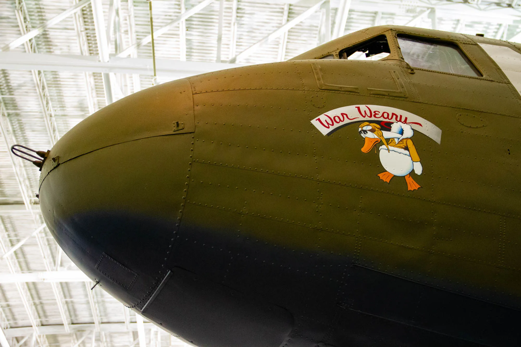 This is a close-up of the side of a World War II-era military aircraft. The aircraft is painted a dark olive drab green. A large, cartoonish duck wearing a flight jacket is painted on the aircraft. The duck's eyes are wide and it is wearing a red scarf. The aircraft has many small rivets and the duck is partially obscured by the aircraft's cockpit window. The aircraft is named "War Weary," which is painted in white and red lettering above the duck. The aircraft is viewed from below. The aircraft is hanging from a ceiling of white metal girders. The aircraft's tail and wings are not visible in the image.  
