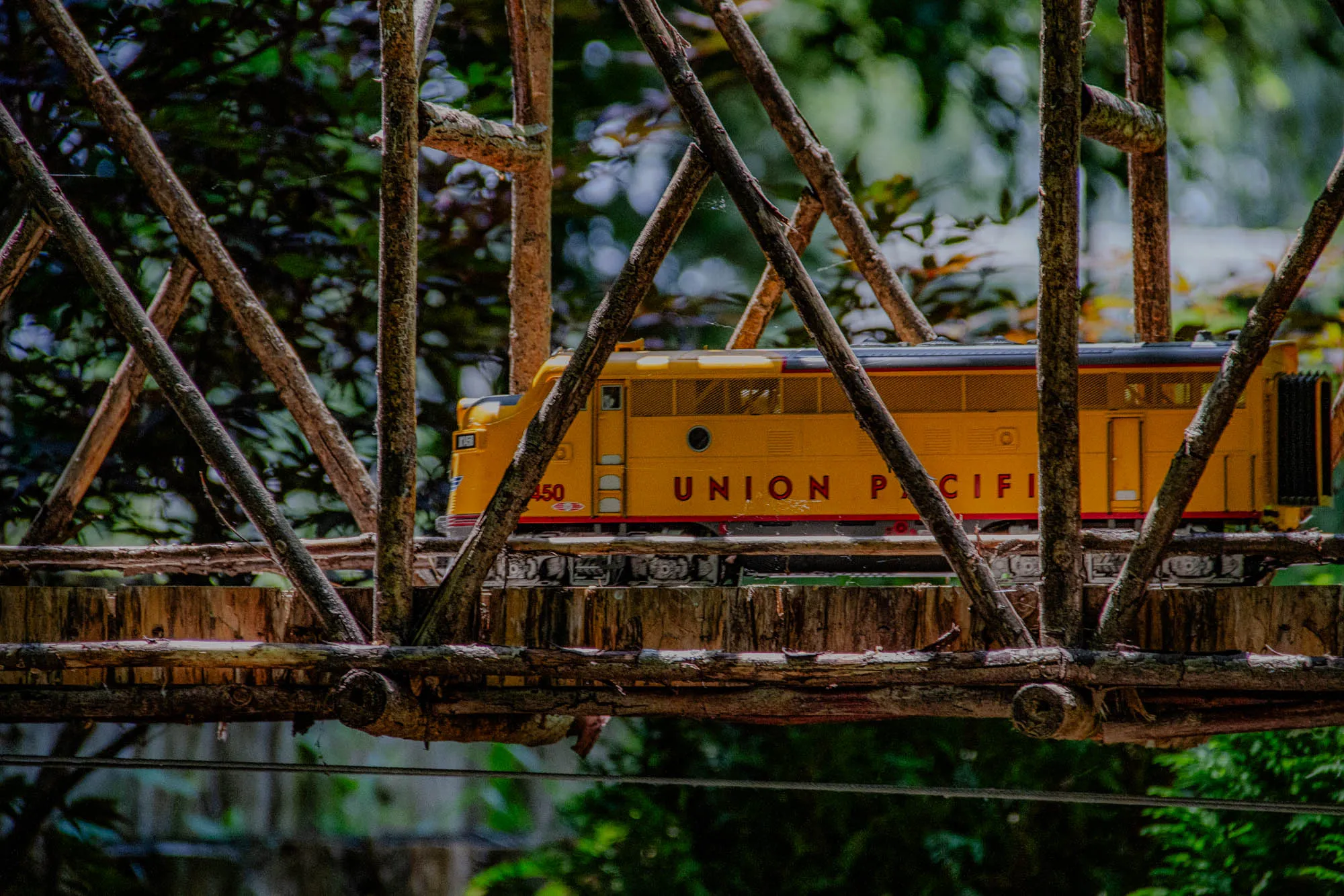 This image is of a toy train that is sitting on a small wooden bridge made from tree branches. The train is yellow and has "UNION PACIFIC" written in red lettering on the side. There are several tree branches that make up the bridge that are in focus and the train is slightly out of focus. There is a blurred background of green trees. The train is sitting on the bridge with its wheels on the wooden planks and the train is facing towards the left. You can see a piece of a yellow wire going across the bottom of the image that is out of focus. The train is only partially visible because it is obscured by the tree branches that make up the bridge. The bridge itself is also obscured by the tree branches but it is clearly visible that it is a wooden bridge.  