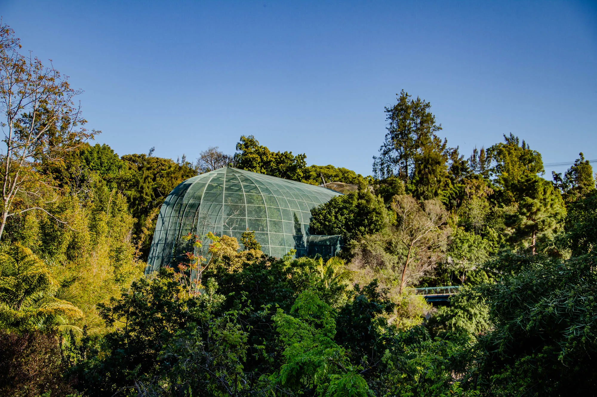 The image shows a large, domed building with a green net covering it. The building is nestled among a variety of trees, including some tall pine trees. The sky is a bright blue and the sun is shining. There is a small bridge to the left of the building, just out of sight of the viewer.  The building appears to be a greenhouse or aviary, and the lush green foliage surrounding it suggests it is a botanical garden. 
