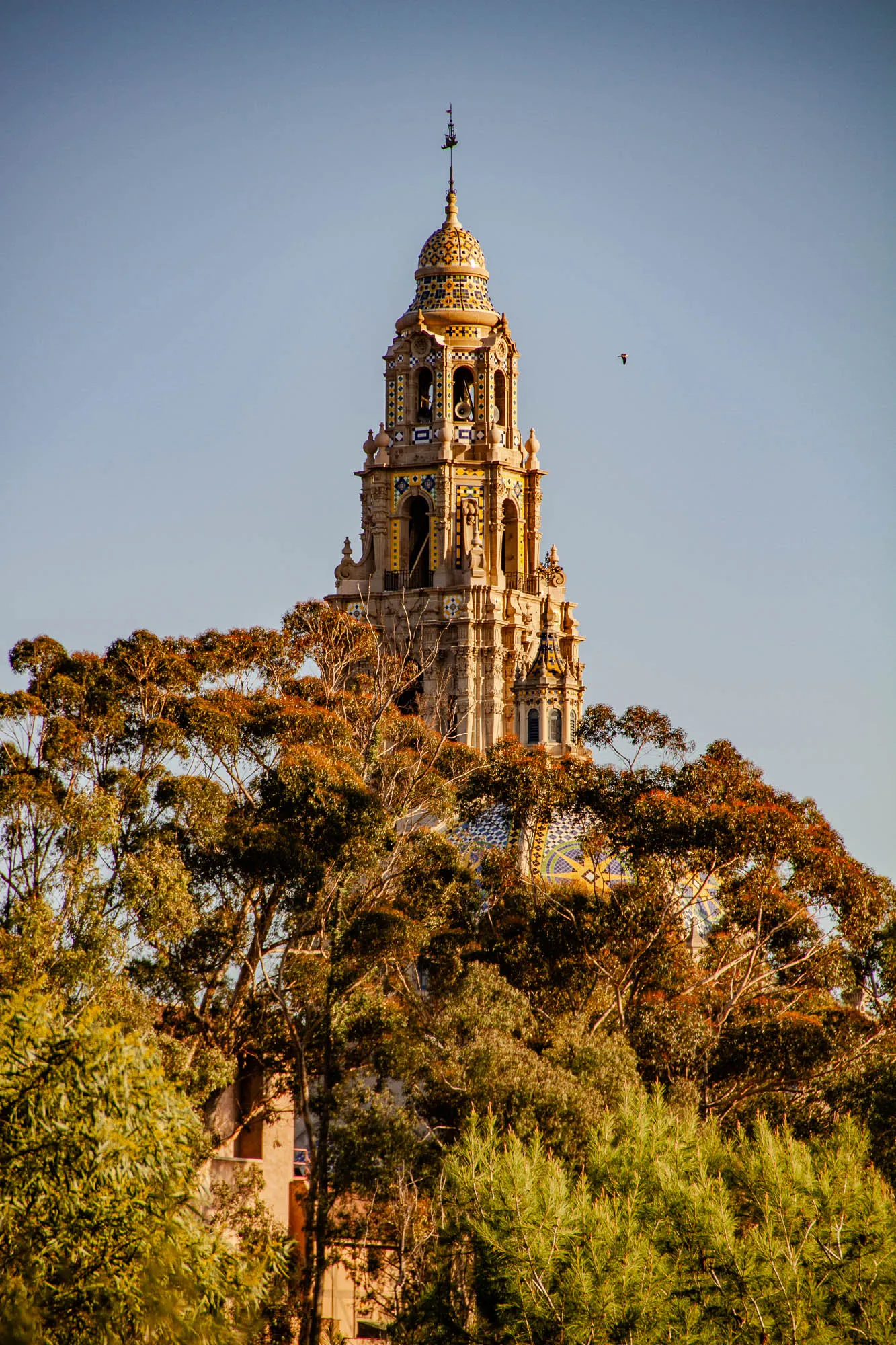 The image shows a tall, ornate tower with a domed roof against a clear, blue sky. The tower is made of stone and has a lot of intricate detail, including arched windows, a bell, and a spire at the top. The tower is partially obscured by a thick stand of trees in the foreground. The leaves of the trees are a mix of green, brown, and yellow.  A small bird flies in the top right corner of the image. 
