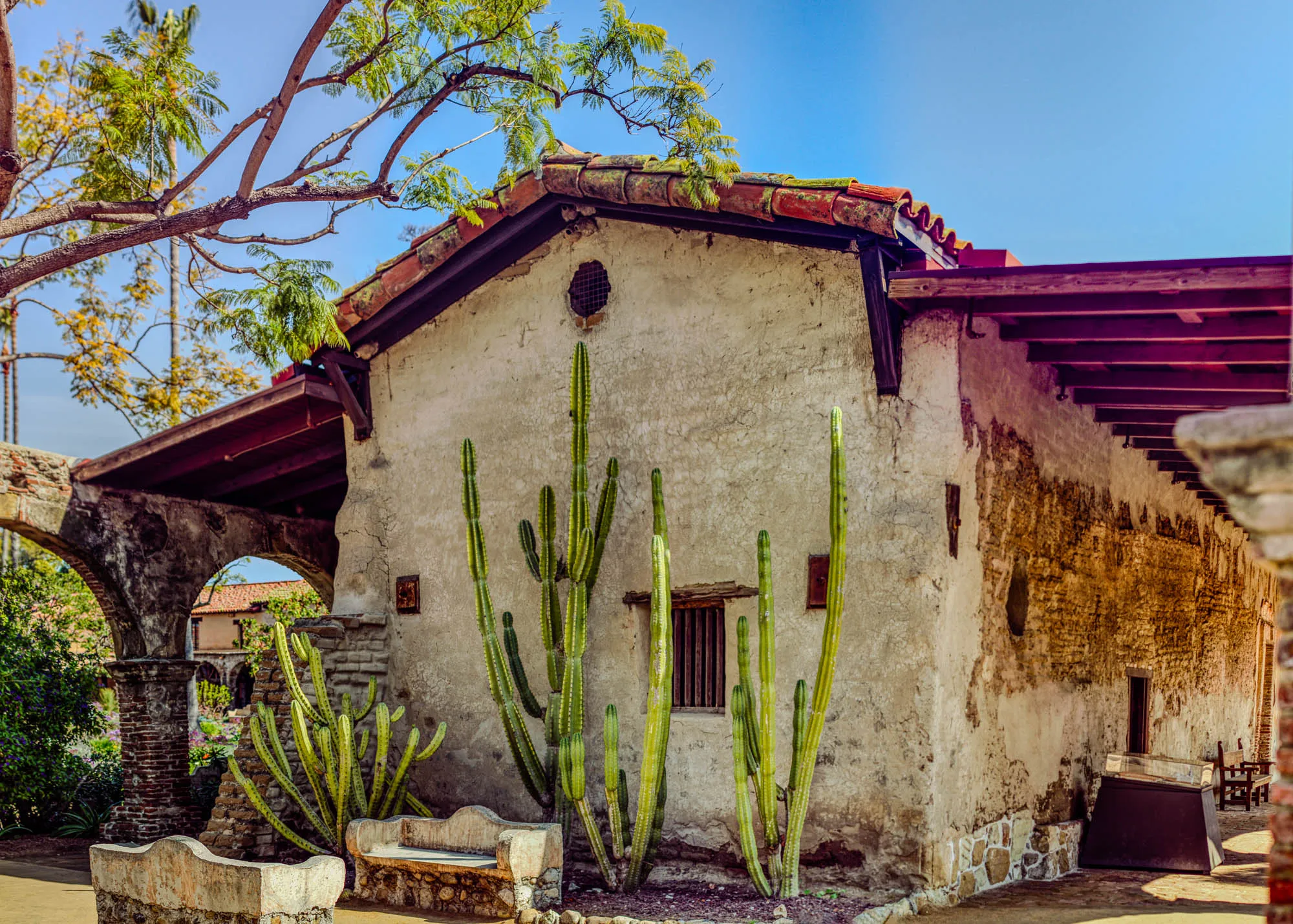 The image shows an old adobe building with a red tile roof. There are several large cactus plants growing next to the building. The building is made of adobe brick, and the walls are covered with plaster. There is a small window in the wall, and a metal grate over it. The building is located in a sunny area, and the sky is clear blue. The image appears to be taken from a slightly higher angle than the building, giving a view of the roof. In the foreground of the image is a low stone wall and a stone bench, with more cacti behind it. There is also a stone archway that leads to a different part of the building.  A portion of another brick wall and roofline is visible through the archway.  The image is most likely taken at a historical mission or other old adobe structure, possibly in the Southwestern United States or Mexico.  The building is likely very old, and it has been well-maintained. It is a beautiful example of adobe architecture. 
