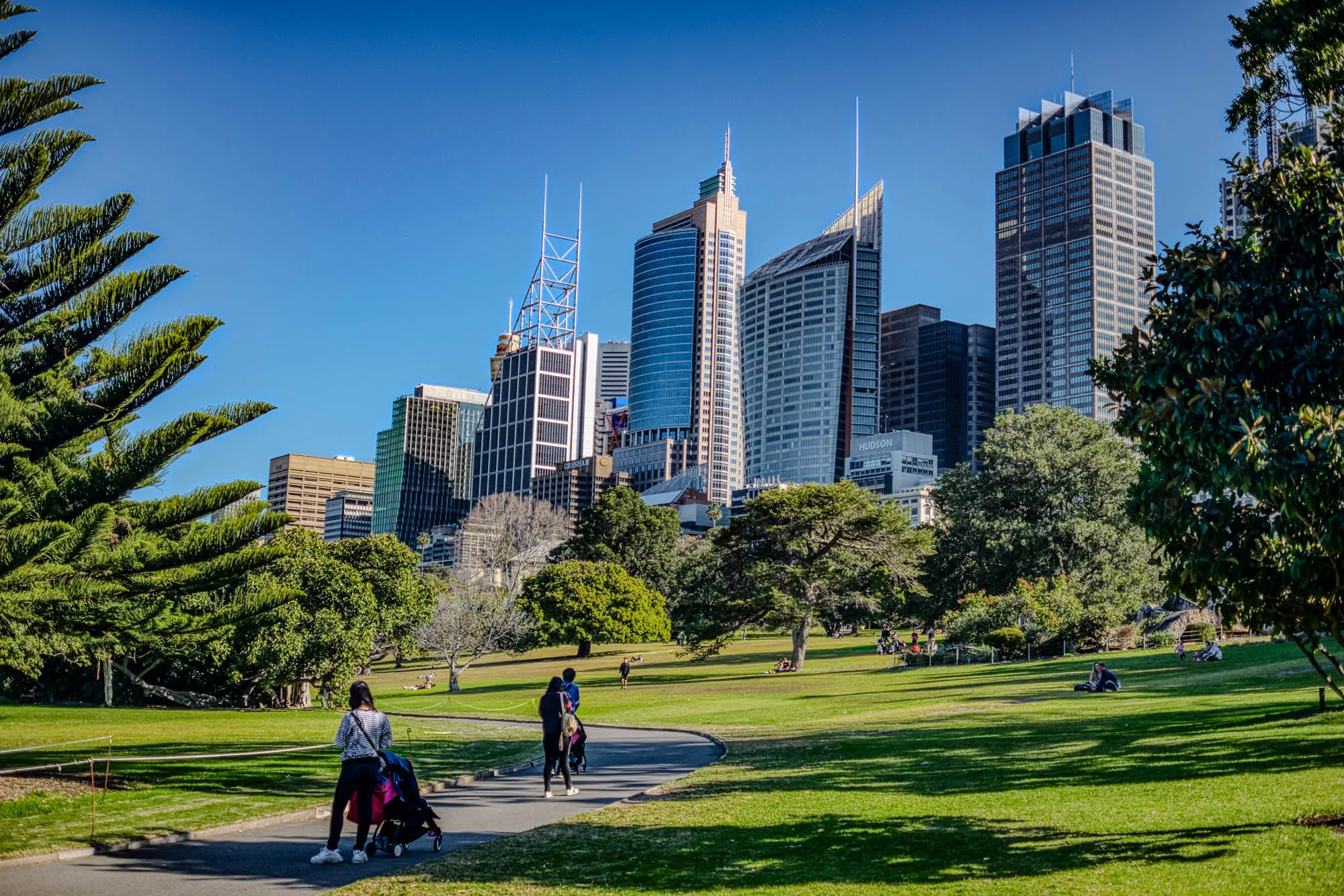 The image shows a grassy park with a paved pathway winding through it. The park is in the foreground, with a skyline of tall office buildings in the background. There are several trees scattered throughout the park, including a large pine tree in the foreground. The pathway is lined with grass and has a few people walking on it, including a woman pushing a stroller. The sky is bright blue and clear. There are several people relaxing on the grass in the background, enjoying the beautiful weather.