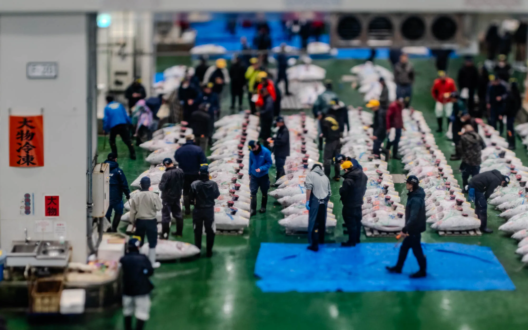 The image shows an auction hall with a large number of people standing in rows along a long walkway.  There are rows of large, fish-shaped objects, all covered with white tarpaulin. The people are all wearing dark jackets and hats, with the exception of a few who are wearing white jackets. There are blue tarps in the foreground. The background is blurred and out of focus, and it is unclear what is going on in the image. There is a white wall to the left of the image, and a red banner with Japanese characters on it hanging on the wall.  A small white sign with the same characters is next to the banner.  There is a stainless steel sink with a faucet in the lower left corner of the image.  The floor is green, and the overall impression is of a busy and crowded market.  The image is likely taken from above, giving a birds-eye view of the auction hall.  It is unclear what kind of fish are being auctioned.