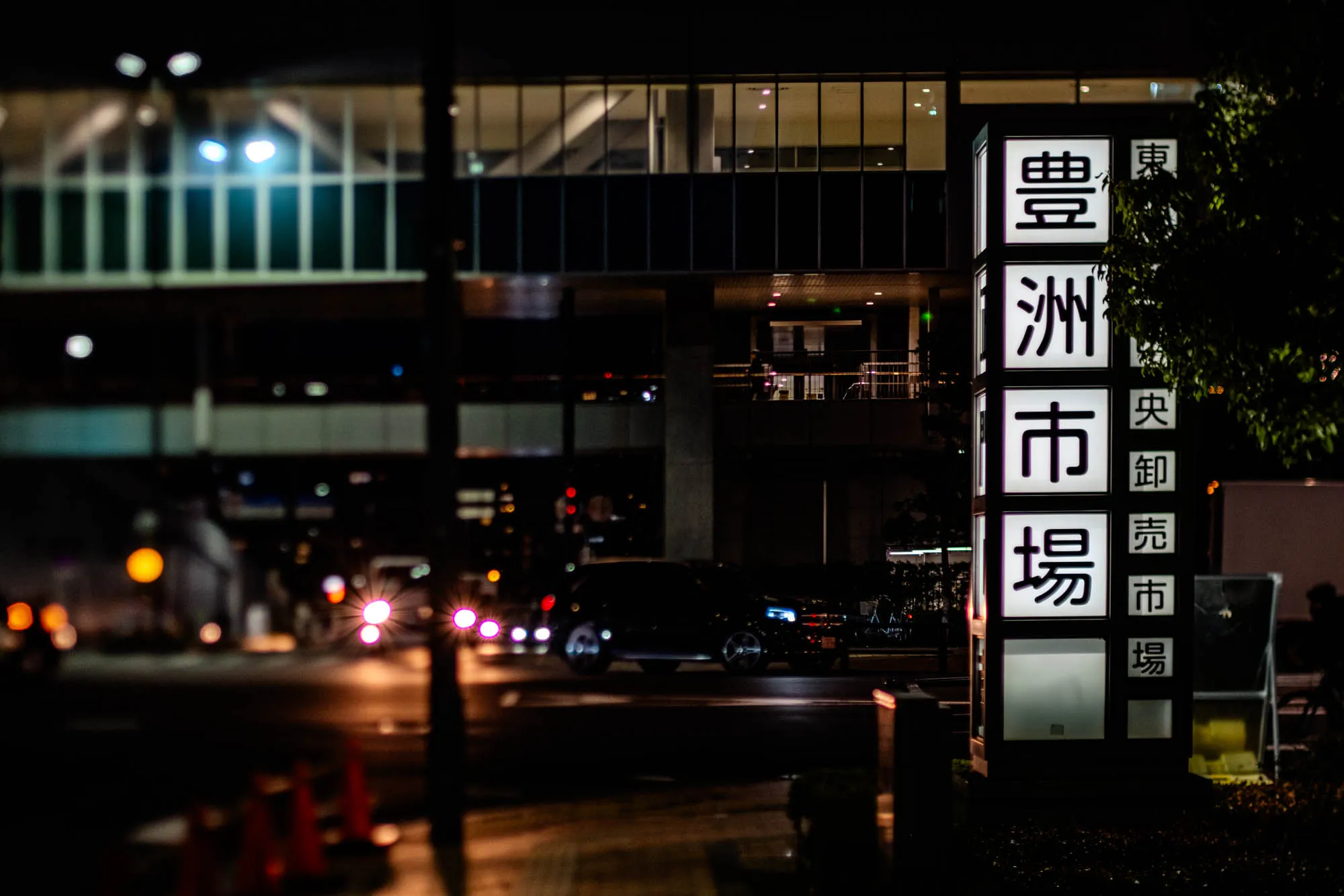 The image shows a signpost with the words "Osaka City Hall" in Japanese written on it. The sign is illuminated and stands in front of a modern building. The building has large windows and a black metal frame, which makes it difficult to see what's inside. The sign is lit up by a nearby street lamp, which creates a bright white glow around the sign. Behind the sign, you can see the silhouettes of trees and a car in the distance. The entire image is dark, except for the sign and the car. There is a faint glow coming from some traffic lights in the distance. 
