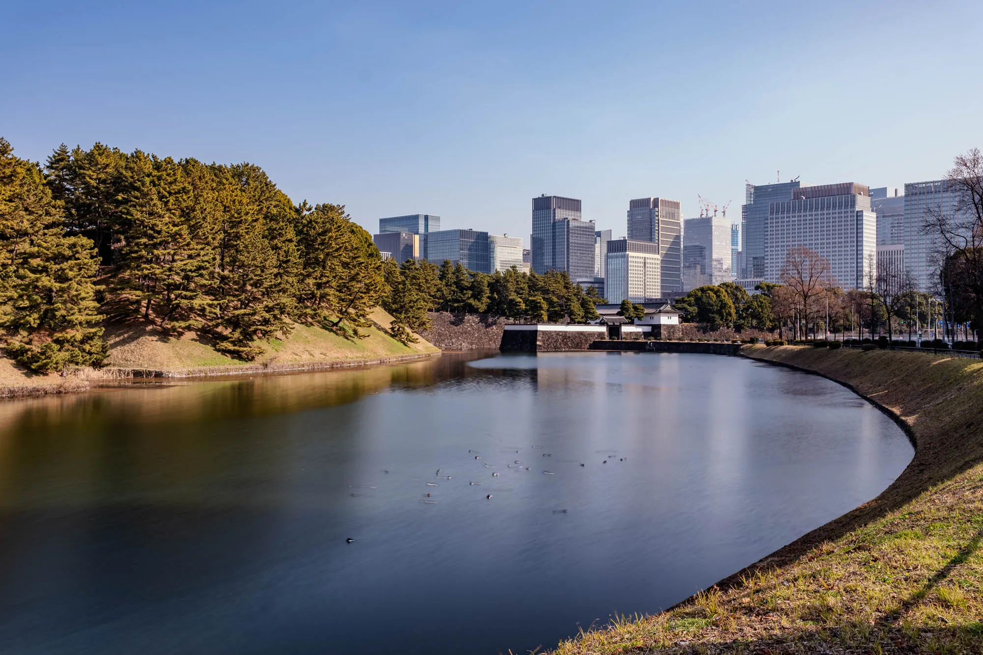 The image shows a calm, blue moat in the foreground. The moat is surrounded by a grassy bank that slopes up to a wall, with a line of trees on the far side. In the background, a city skyline of tall buildings can be seen. The sky is clear and blue. Several ducks are visible on the surface of the lake.