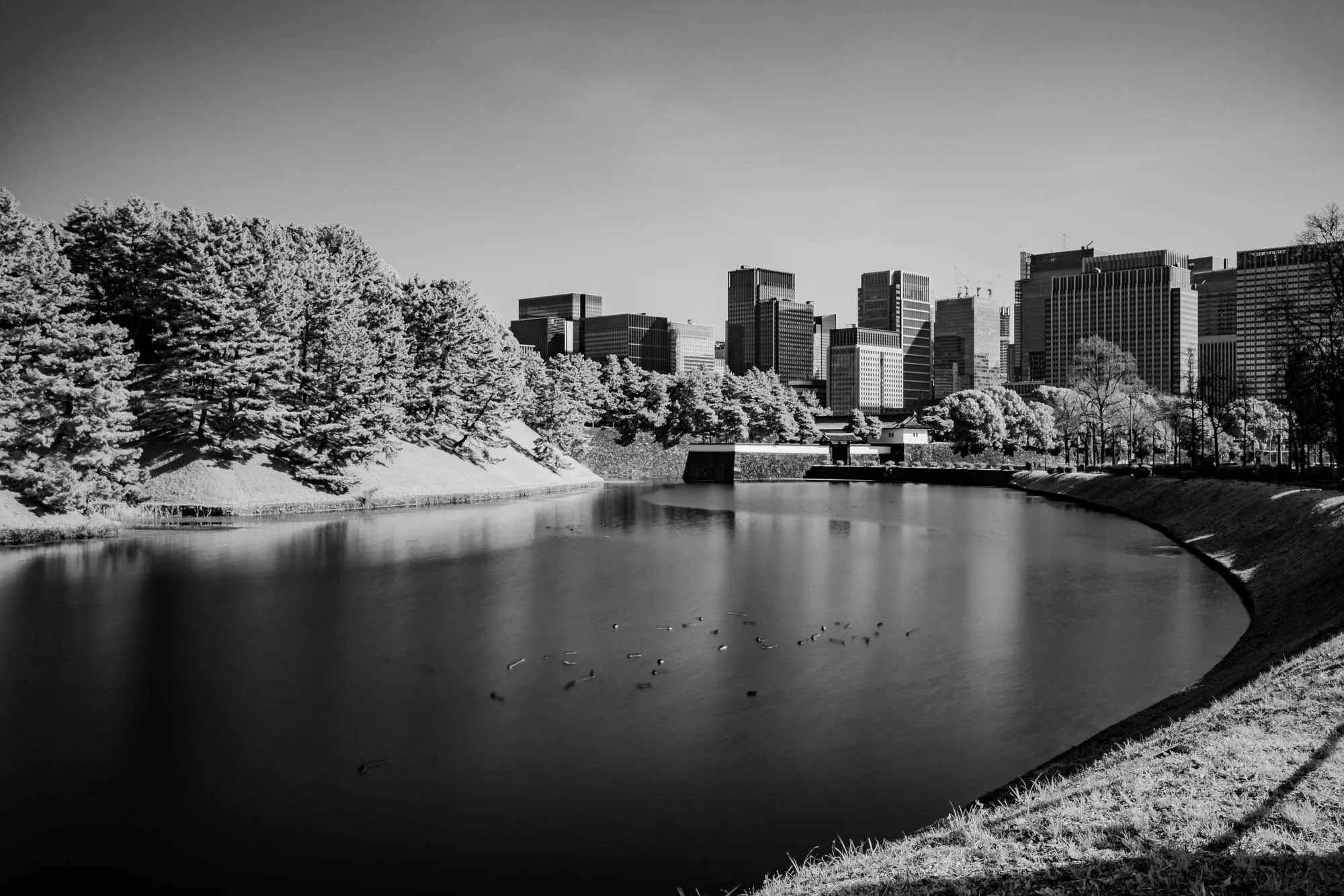 A black and white image of a city skyline with a lake in the foreground. The lake is calm and reflects the buildings and sky. On the left side of the image, a line of trees runs along the edge of the lake.  The buildings are all tall and modern, with some having a rectangular shape and others with a more rounded shape. The image is taken from a low angle, giving the viewer a sense of being at the edge of the lake.  The image is a serene and peaceful one, showing a balance between nature and city life. The lake is mostly black, reflecting the buildings and the sky above, and only a few of the many tall buildings are visible in the distance. The long, straight shadows cast by the tall buildings add to the sense of serenity of the image.