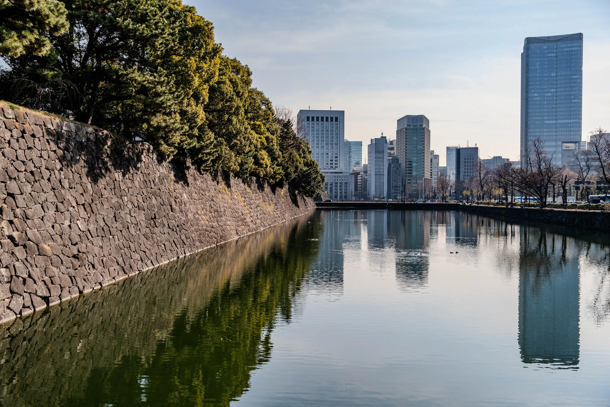 A stone wall, made of large, rough, gray stones, stretches along the left side of the image. The wall is partially covered by a line of large, green trees that run along the top of the wall. Behind the trees are more trees, as well as several tall buildings with windows. The buildings are reflected in a calm body of water in front of the wall. There is a small, narrow path on the far side of the water, and the water reflects the trees along the path. The sky is mostly clear, but a few wispy clouds appear in the upper right corner.  There are small birds swimming near the center of the water.  The whole scene gives the impression of a calm, peaceful, and somewhat secluded location.