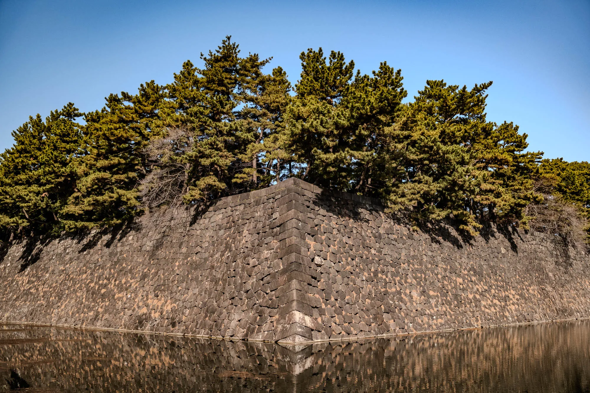 The image shows a stone wall that is reflecting in a body of water. The wall is made of large, irregular stones, and it is very thick and imposing. It is a corner of the wall, creating a sharp point.  The wall is covered in a dark, mossy green. At the top of the wall, there are a row of evergreen trees that are growing in a dense and symmetrical pattern. The trees have thick branches that grow out in a horizontal fashion, almost like a hedge. The sky is a clear, bright blue, with a few wispy clouds.