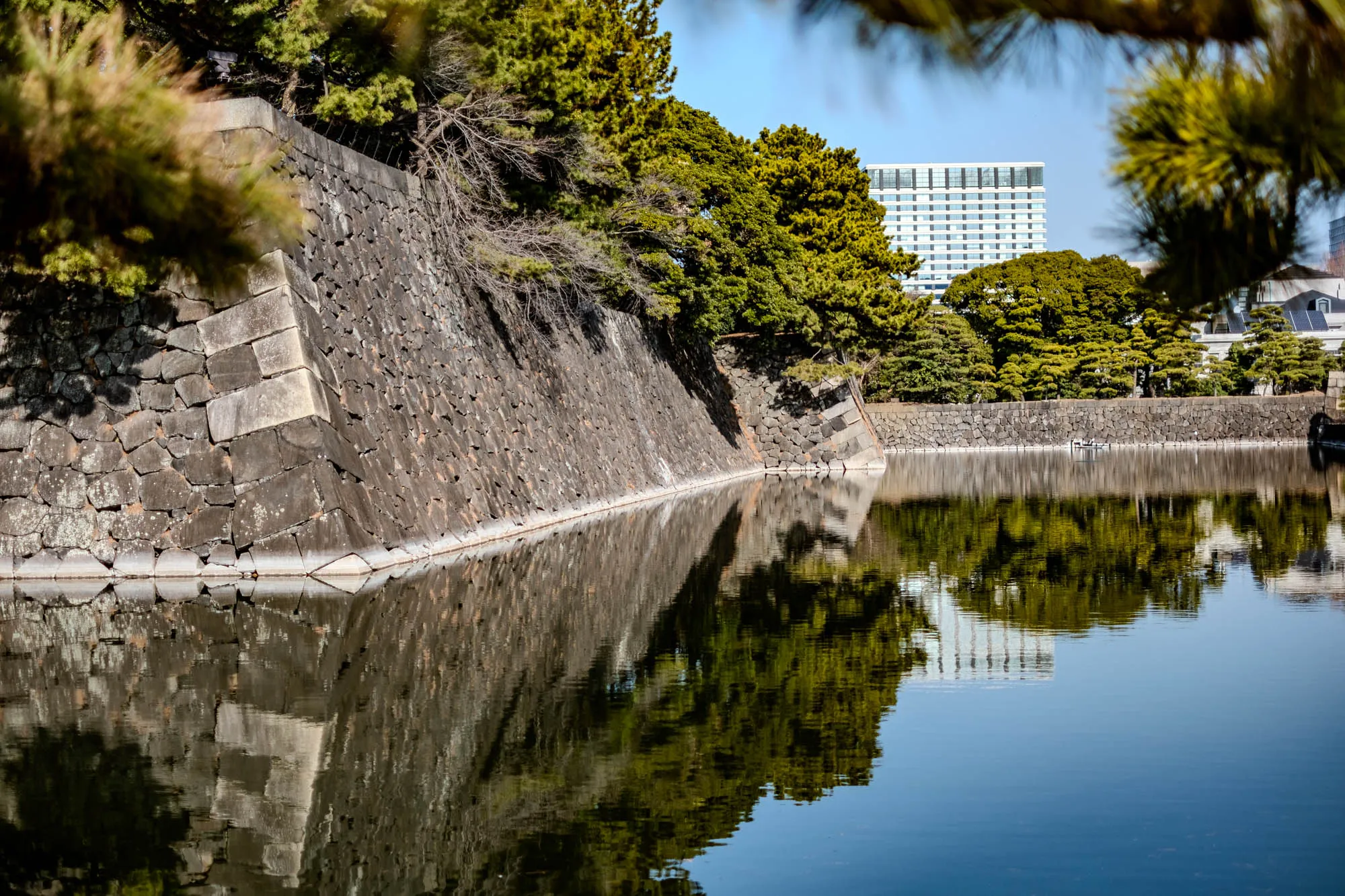 The image shows a stone wall that goes down to a calm body of water. The wall is made up of large, flat stones that are laid in a pattern. There are some evergreen trees partially obscuring the top of the wall in the foreground. The water reflects the sky and trees behind the wall, which include a modern building. The trees are tall and leafy, and some of them are reflected in the water. There are also some smaller trees and shrubs growing along the edge of the wall, and a few other smaller trees in the distance. The water is calm and still, and the reflection of the trees and sky is clear and sharp.  The scene is peaceful and tranquil, and it creates a sense of serenity.