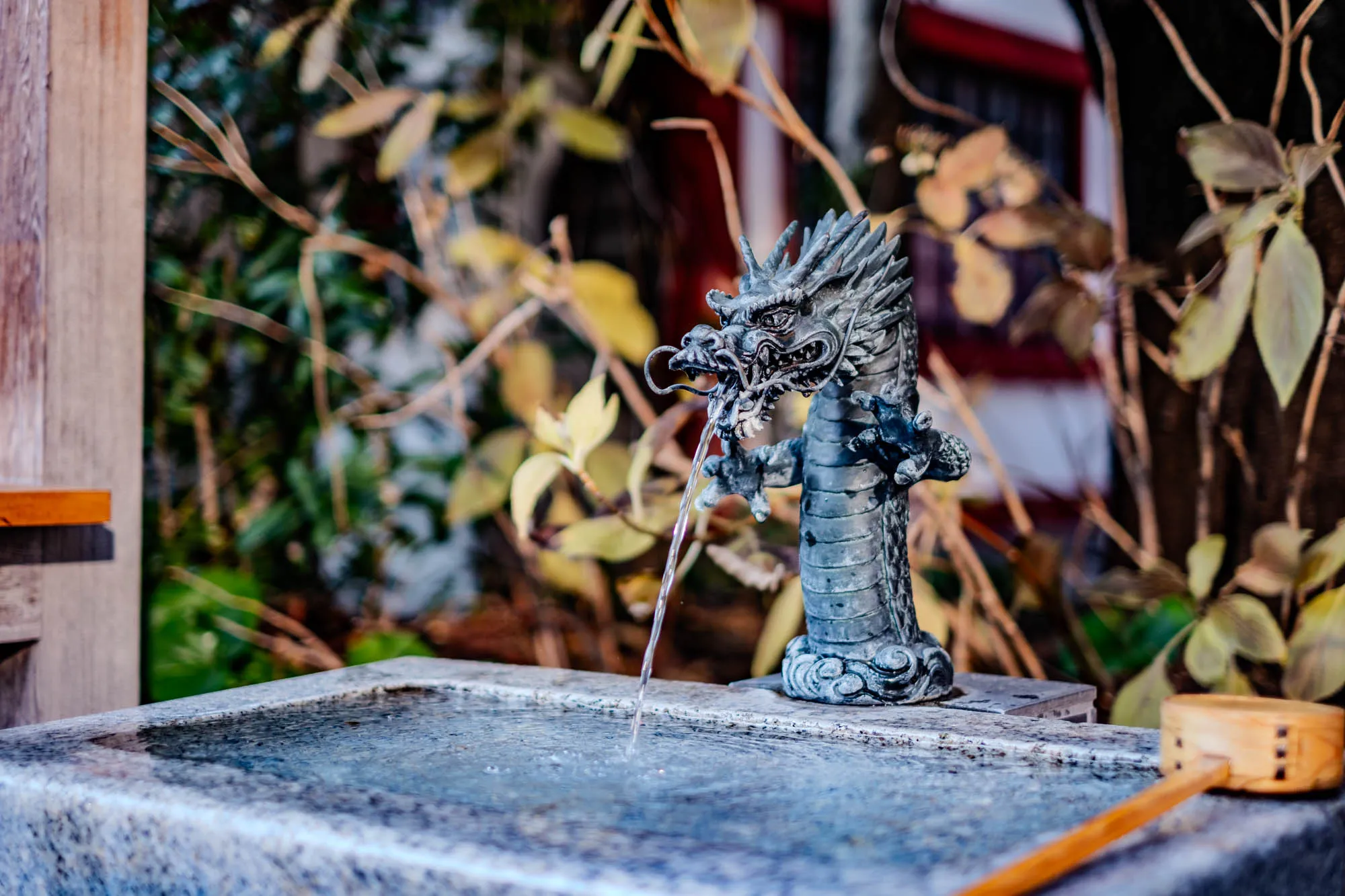 The image shows a stone fountain with a dragon statue. The dragon is facing left and is in a resting position with its head slightly raised. The dragon is made of grey stone.  Water is flowing out of the dragon's mouth and into the fountain basin. The basin is made of a dark gray, rough-textured stone and is partially filled with water. There is a wooden scoop near the basin, and a wooden structure is visible to the left.  The fountain is surrounded by leafy green plants and bushes. The background is blurry, but it appears to be a building with white and red paint.  The image is taken at a slightly low angle. 
