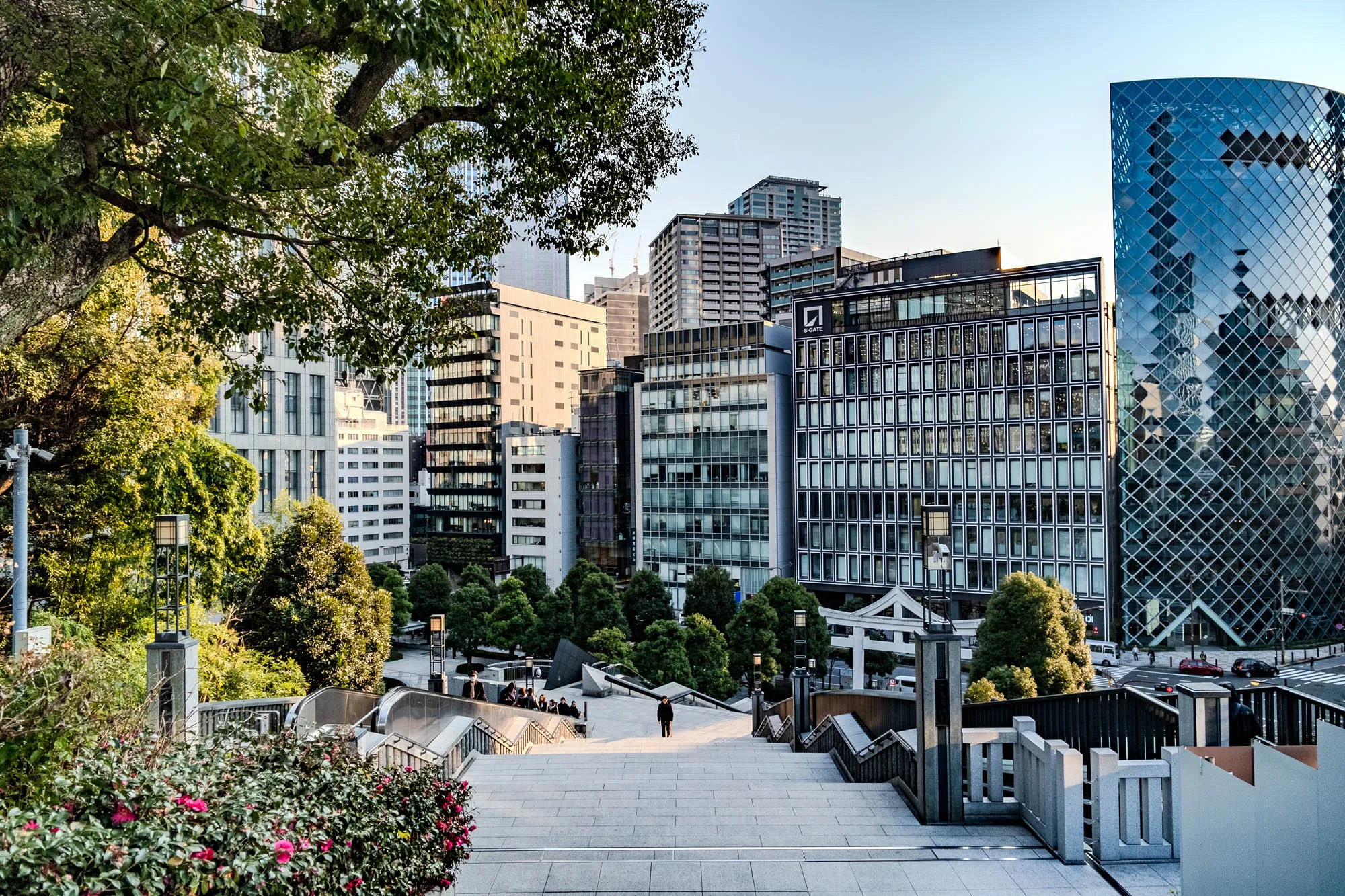 The image shows a view from the top of a set of stairs. The stairs are made of grey concrete and lead down towards a busy city street. To the right and left are short concrete walls, and the bottom of the stairs is obscured by lush green bushes. In the background, there are several tall buildings with glass windows. In the middle of the image, there are some trees, and a person is walking down the stairs. To the right of the stairs is a tall building with a patterned glass facade and a white sign that reads "S-GATE". To the left of the stairs, a large tree branch with green leaves hangs over the edge of the stairs. The image captures a contrast between the natural and the man-made, with the green foliage and trees against the backdrop of the city's skyscrapers.