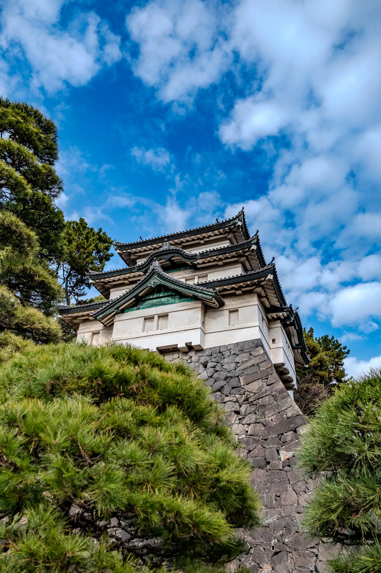 The image shows a traditional Japanese castle, with a white exterior and a green tiled roof, against a backdrop of a bright blue sky with white fluffy clouds. The castle is built on a steep stone wall, which is covered in moss and lichen, and has a large evergreen tree in the foreground. The tree branches are in the foreground, and the castle is in the background. There is a smaller tree on the right side of the image, and a small section of the stone wall is visible in the foreground on the right, behind the tree. The castle's roof has a distinct layered design, which is typical of Japanese architecture. The building looks to have three stories. The image is taken from a low angle, looking up at the castle. It's likely that the image was taken in a park or garden, as there are no other buildings or structures visible in the photo.