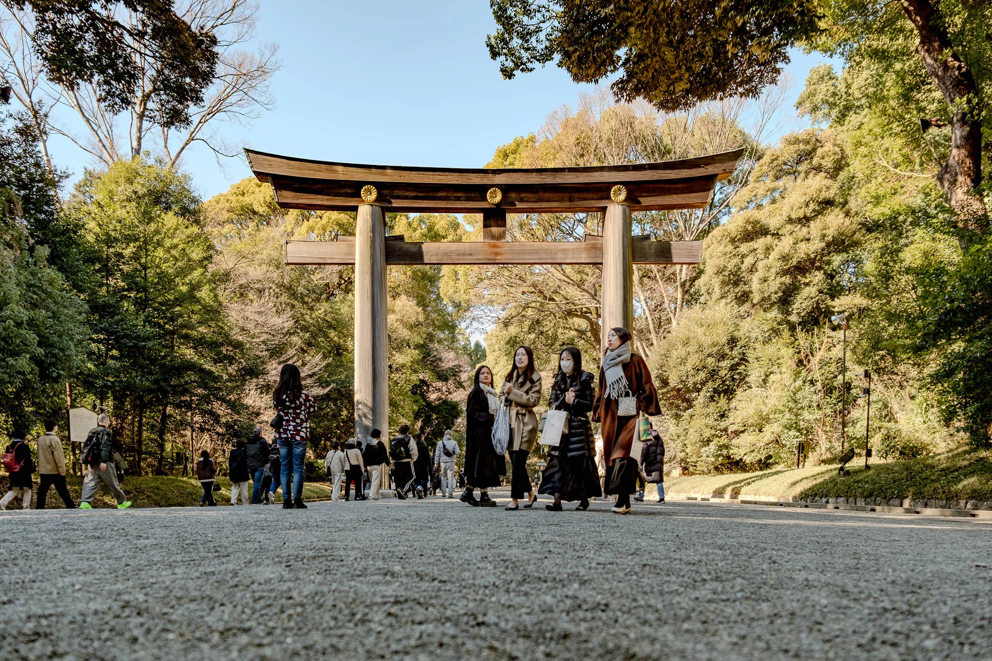 The image shows a group of four women walking towards the viewer on a gravel path. They are standing in front of a large wooden torii gate, a traditional Japanese gateway. The gate is made of two tall posts with a curved top, and the posts are connected by a horizontal beam. There are also several people in the distance walking in the same direction. Behind the gate, there are tall trees with bare branches and some green trees in the background.  The trees are casting shadows on the ground. The sky is bright blue. The ground is covered in gravel, and there is a slight downward angle to the path.  All four women are wearing winter coats, pants, and scarves. The women in the front are wearing white scarves, while the two women in the back are wearing brown and black scarves. 
